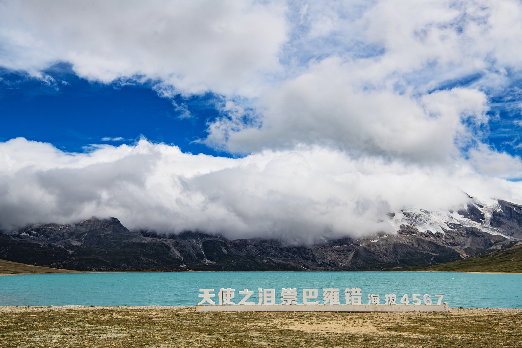 DSC_3979 .jpg