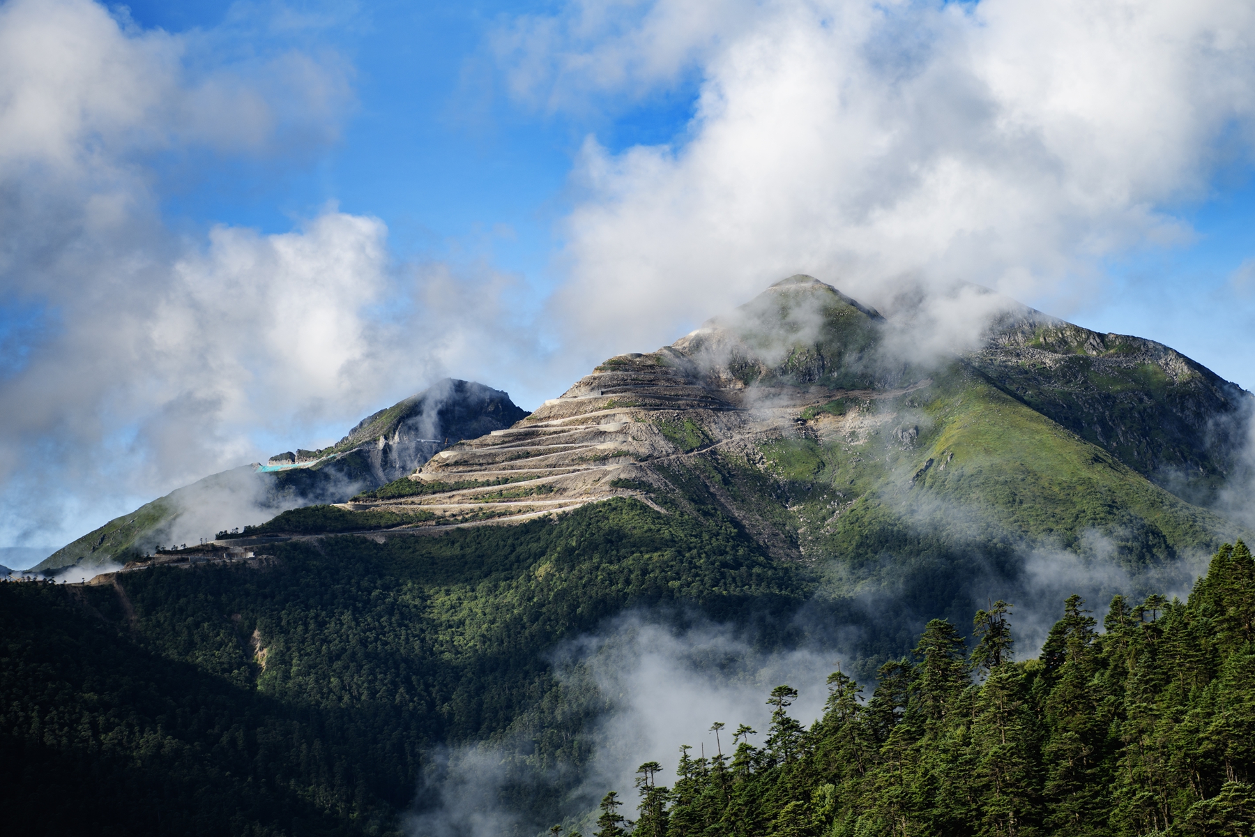 DSC_4010 .jpg