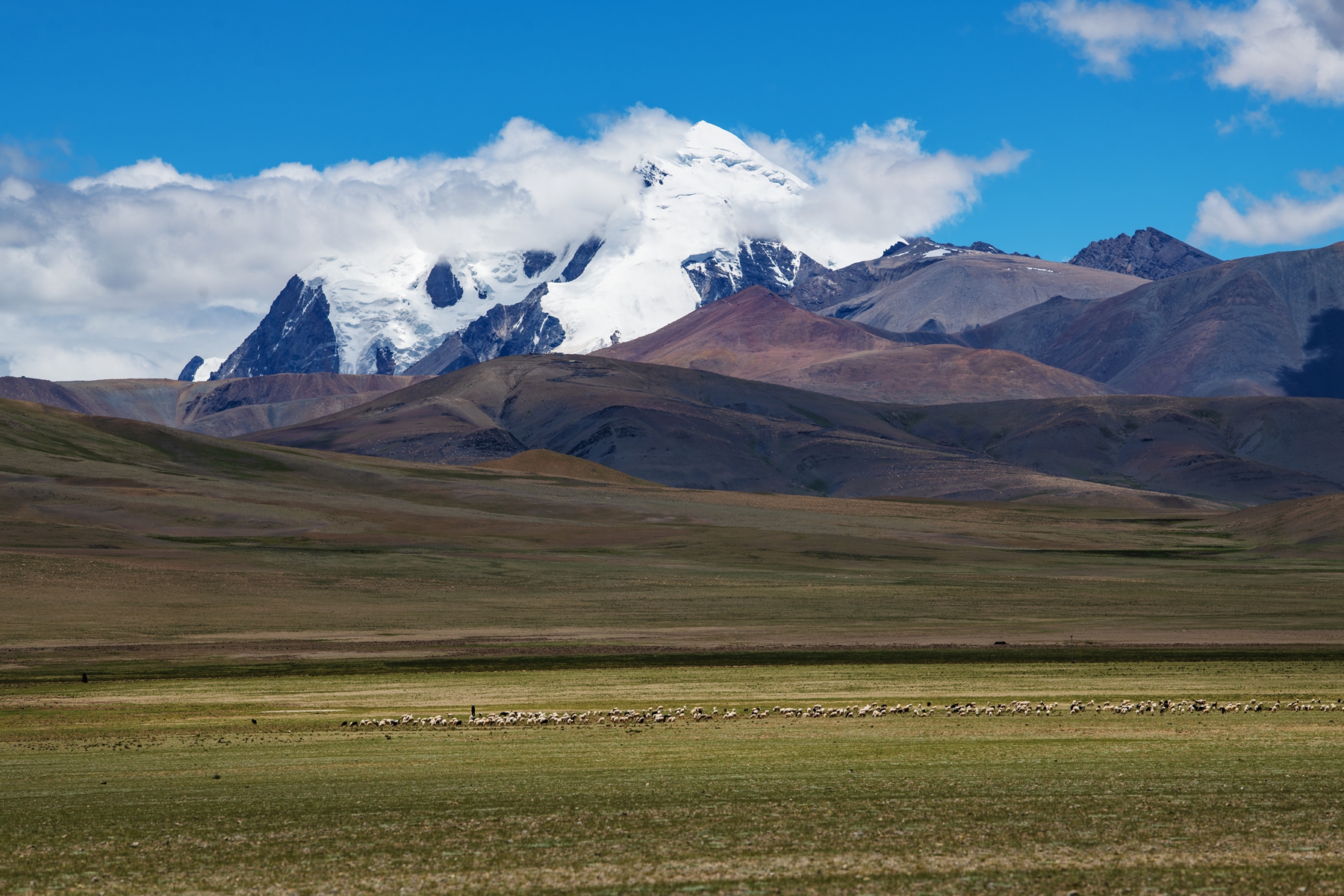DSC_4052 .jpg
