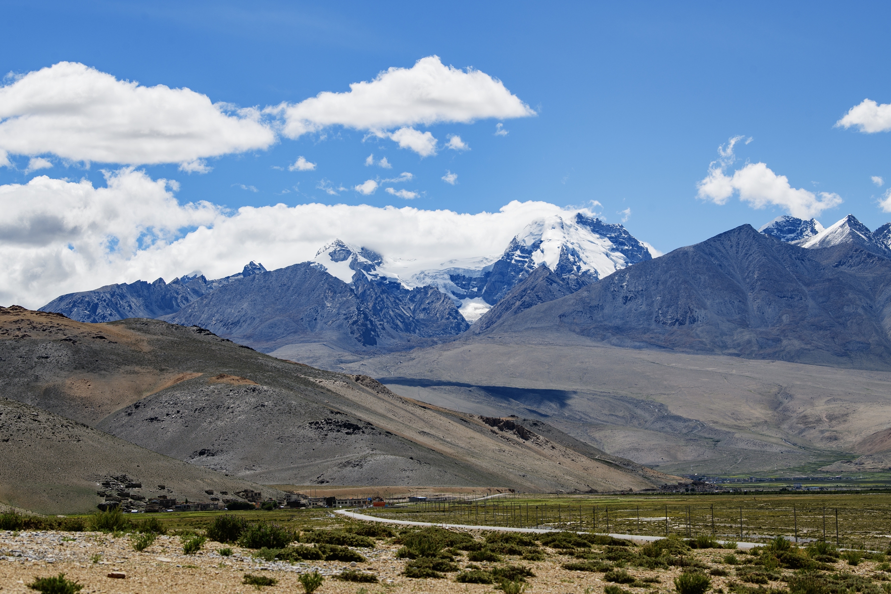 DSC_4123 .jpg