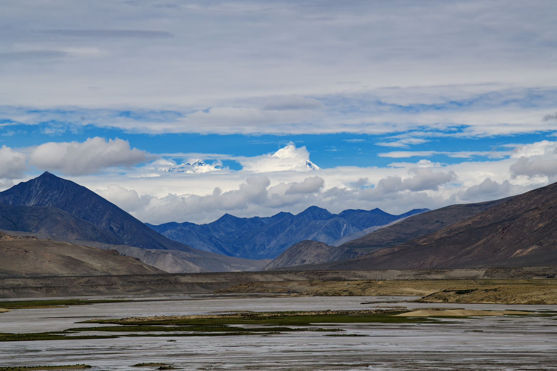 DSC_4211 .jpg