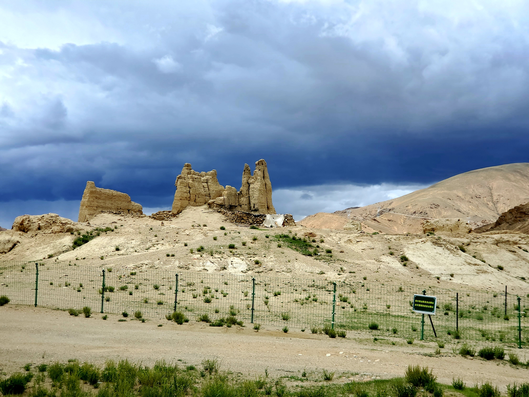 20250724_152843.jpg