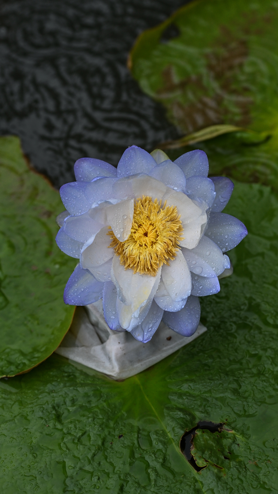 DSC_8934.jpg