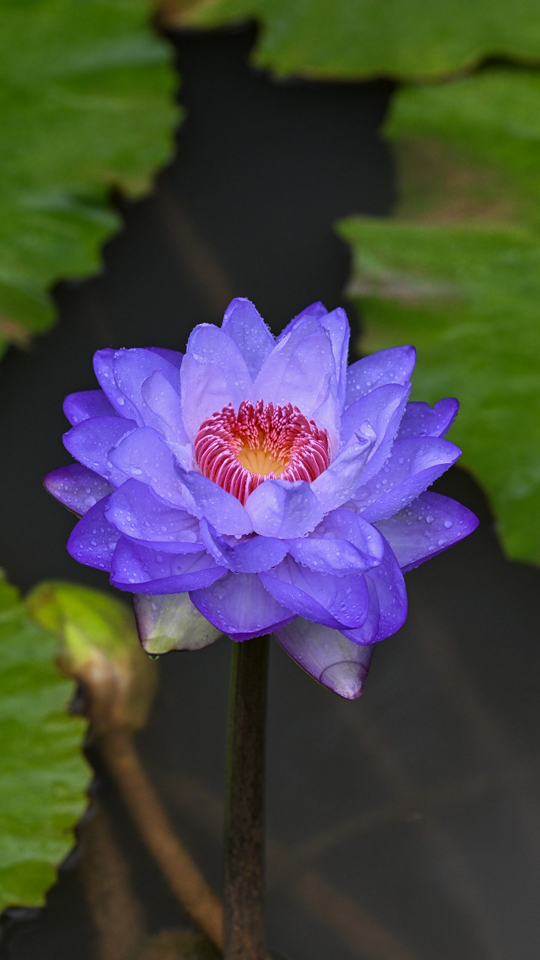 DSC_8958.jpg