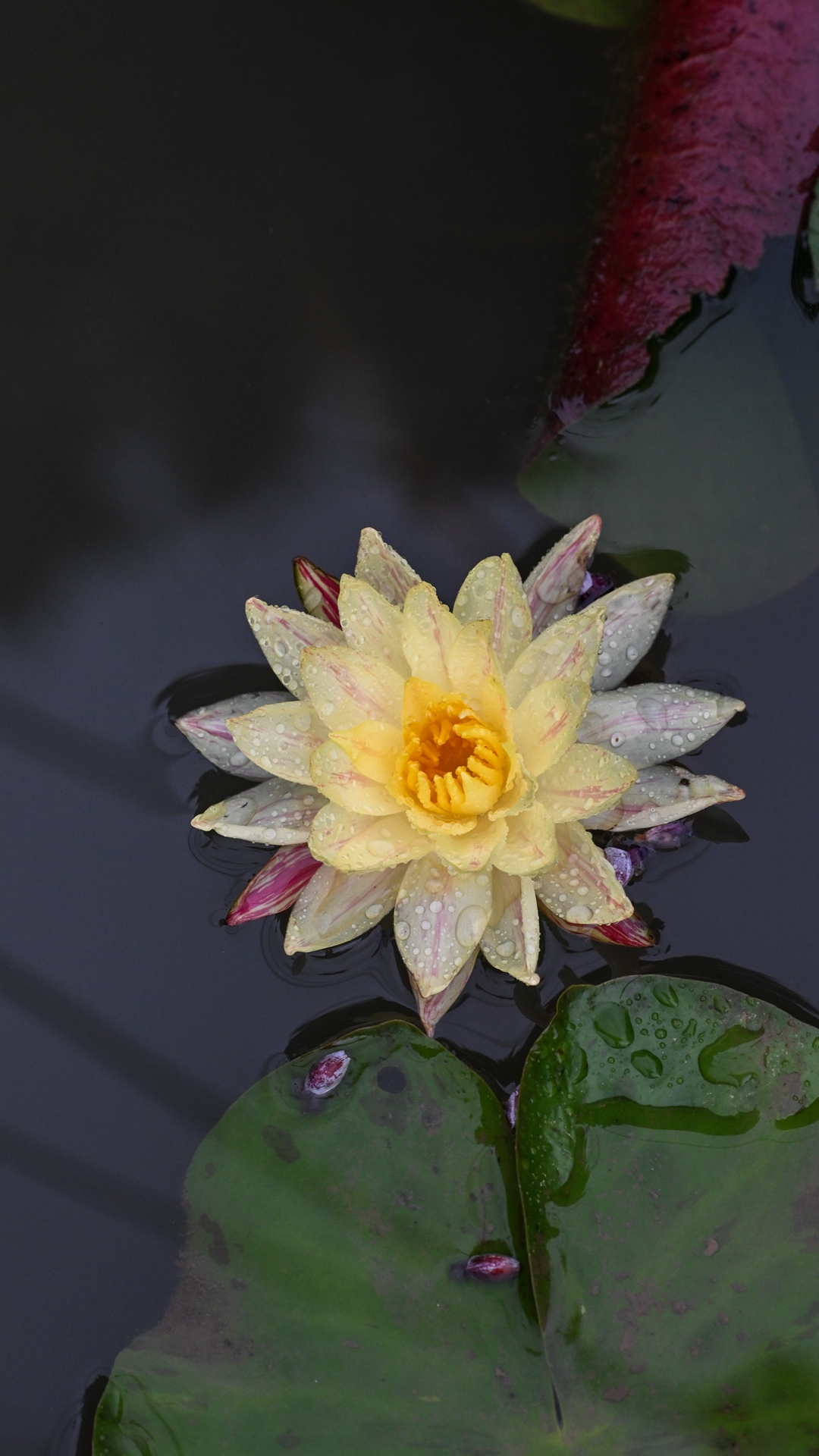 DSC_9046.jpg