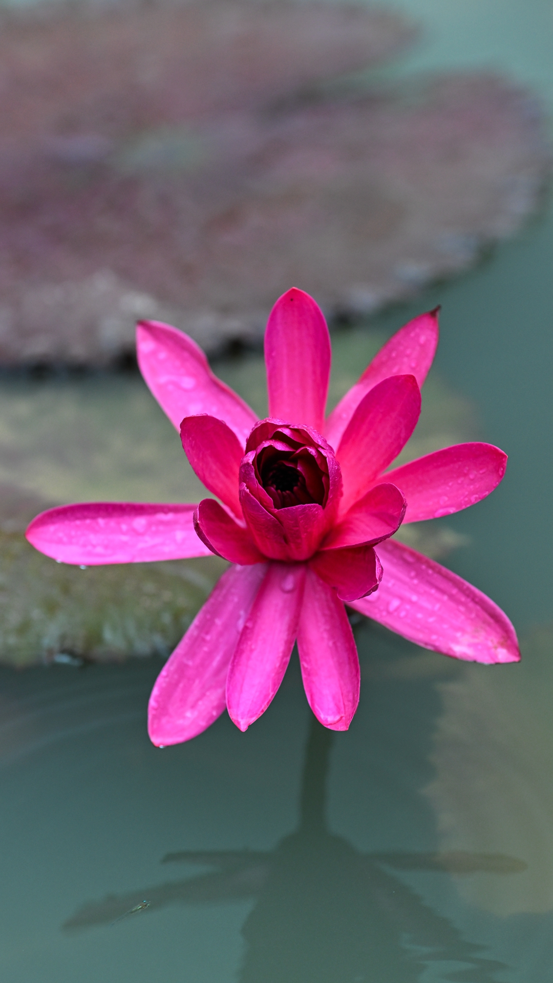 DSC_9092.jpg