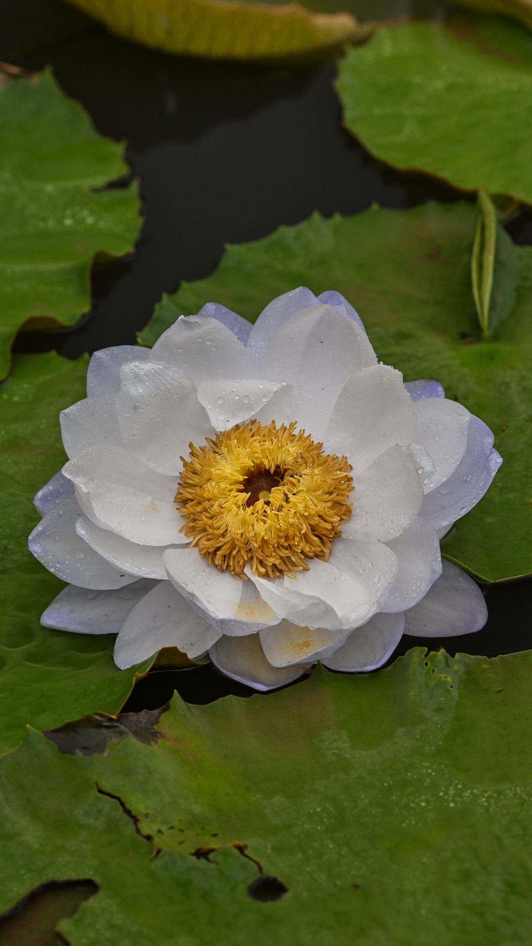 DSC_8979.jpg
