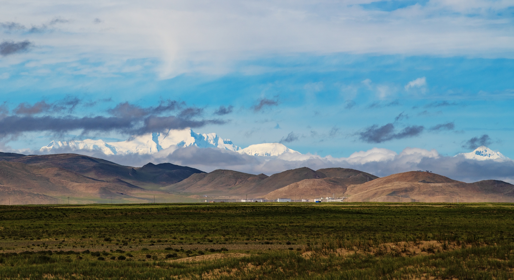 DSC_4560 .jpg