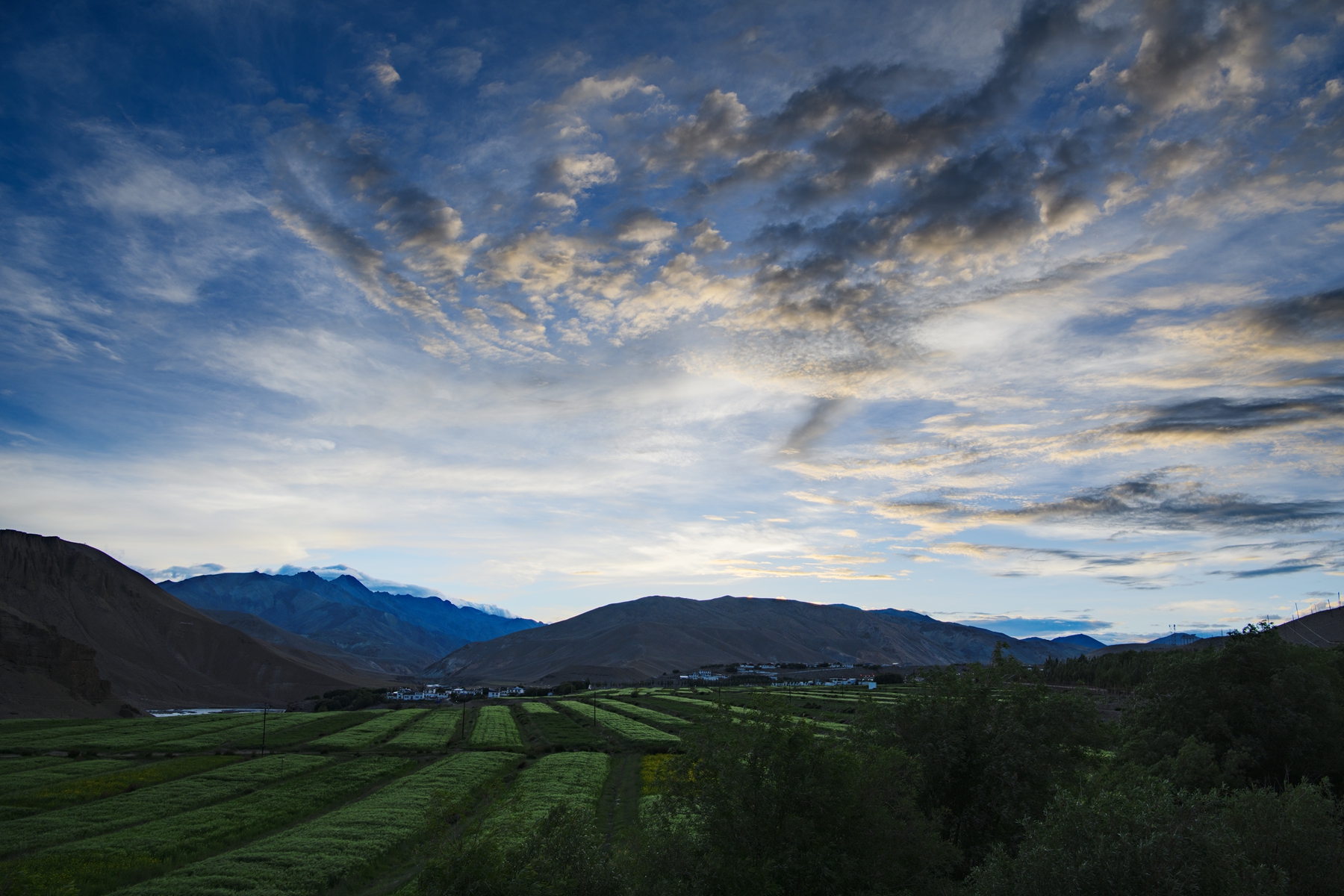 DSC_4693 .jpg