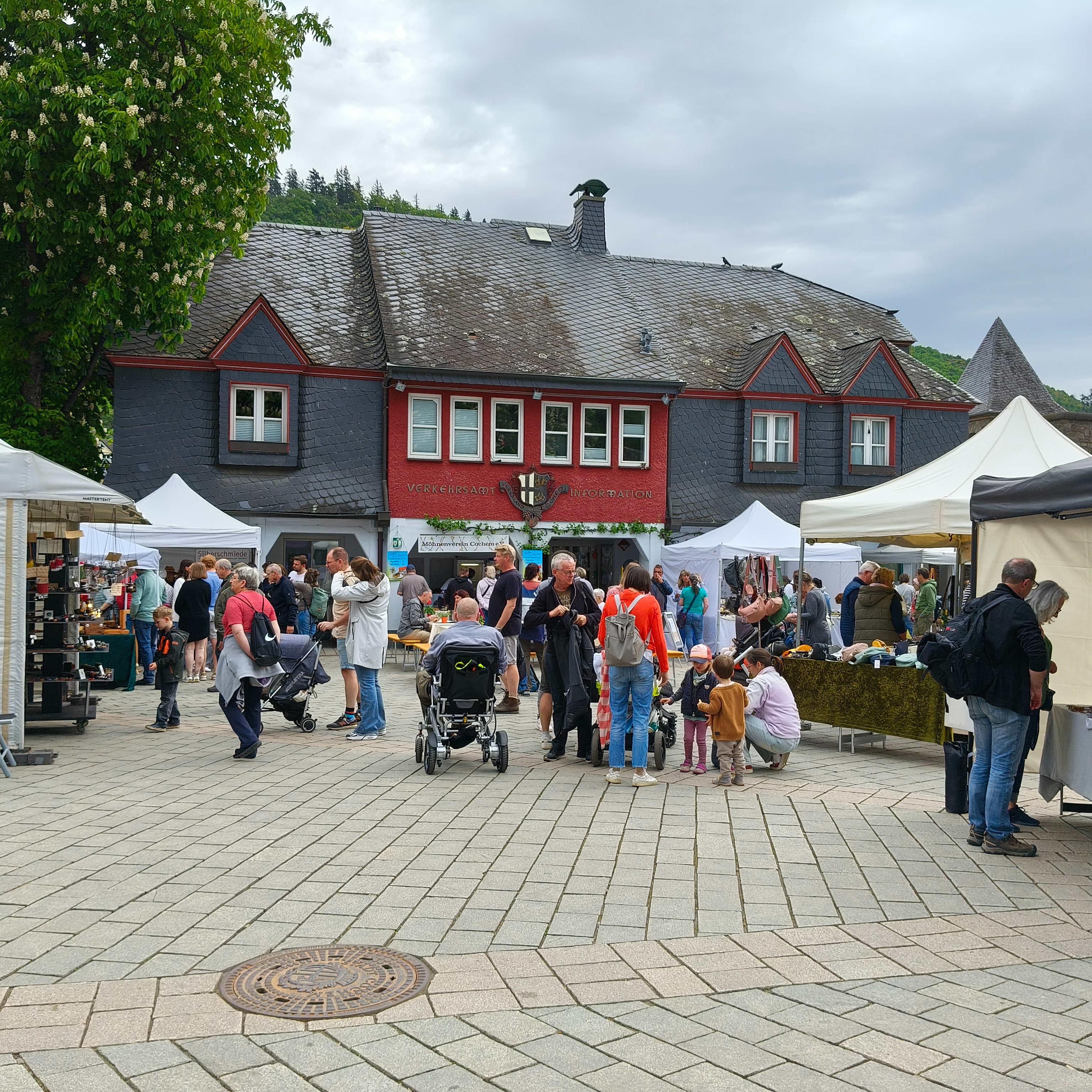 IMG20250503114547.jpg