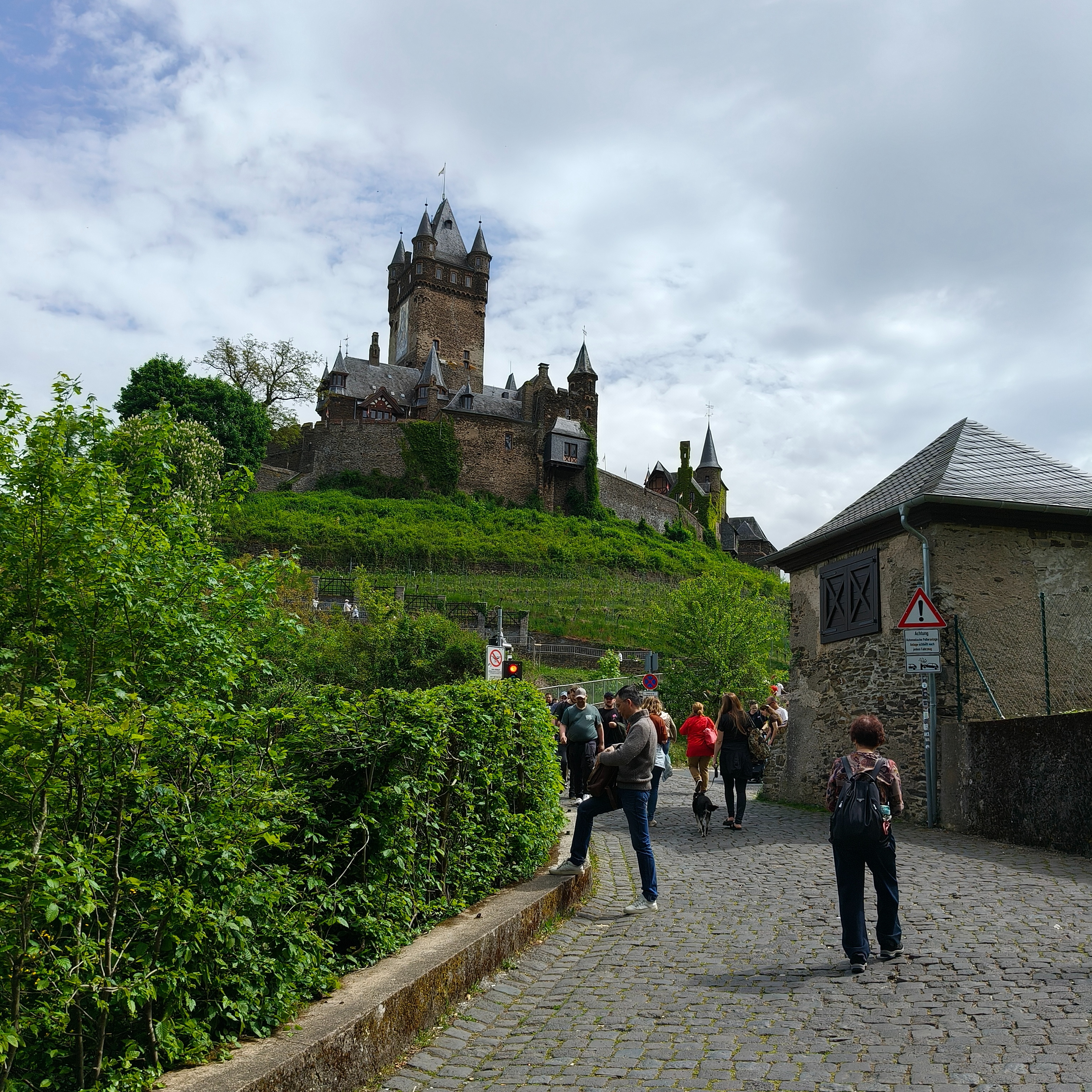 IMG20250503123120.jpg