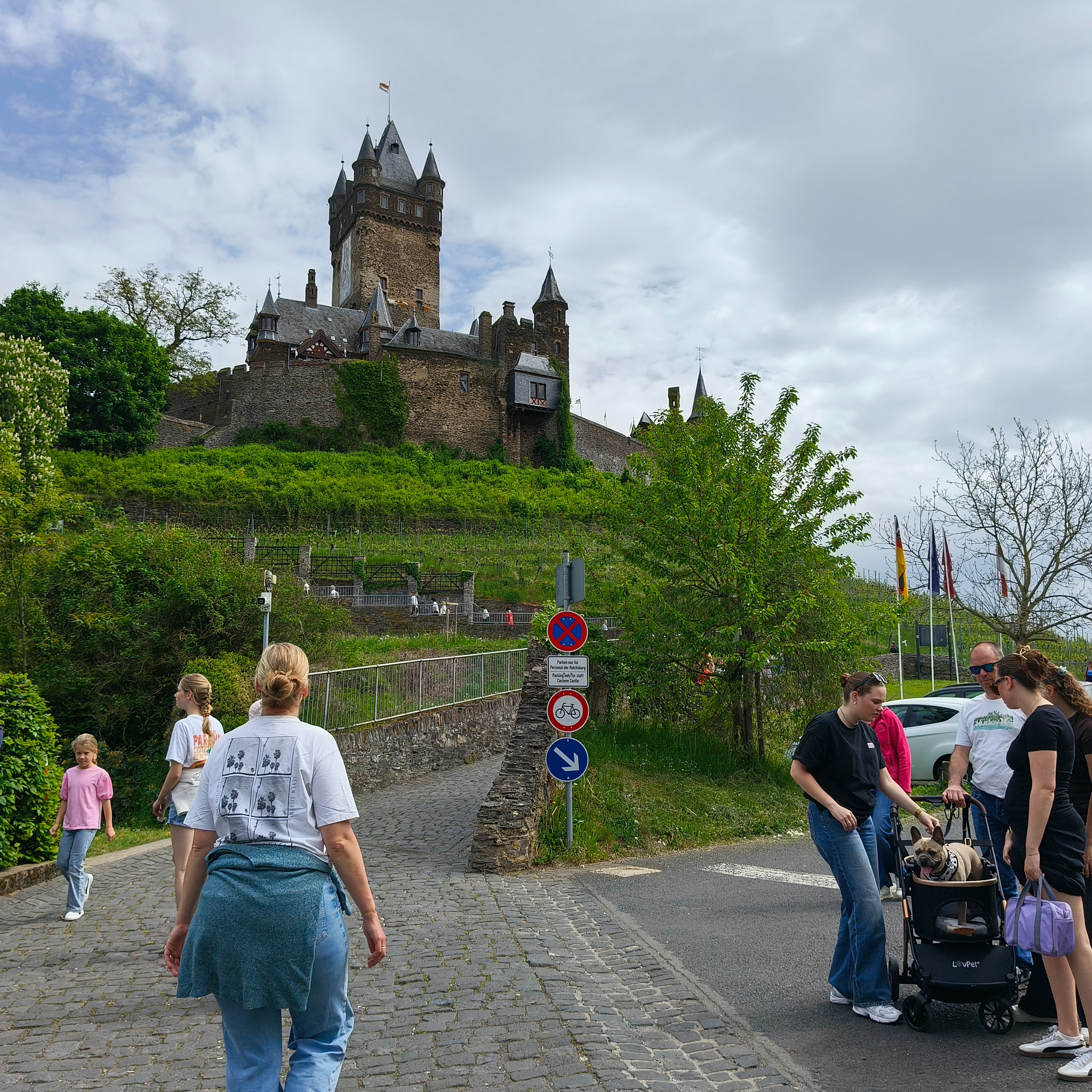 IMG20250503123201.jpg
