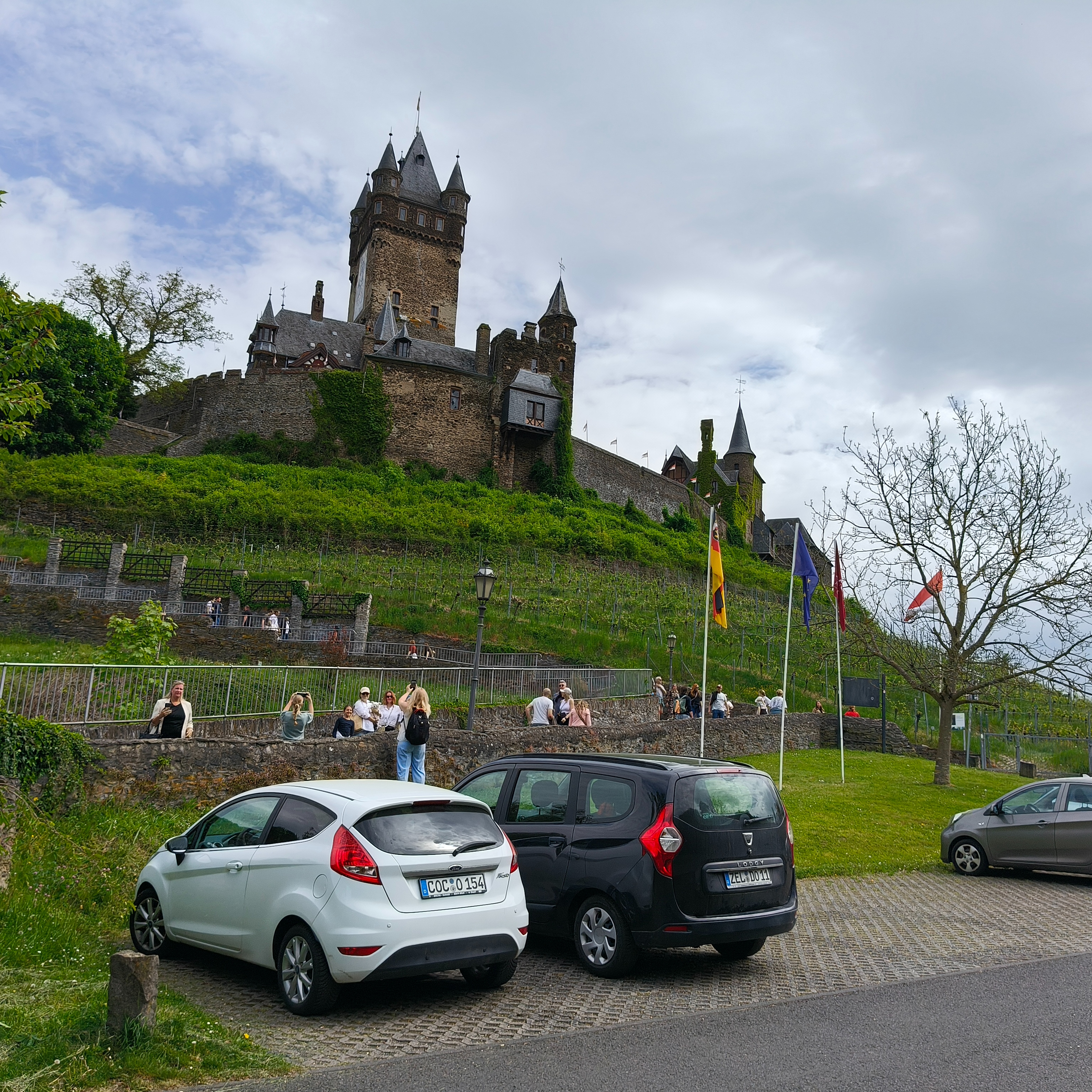 IMG20250503123251.jpg