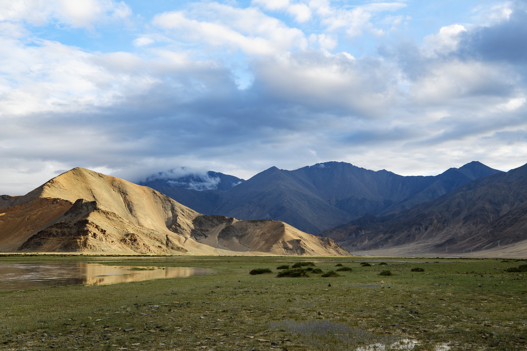 DSC_4942 .jpg