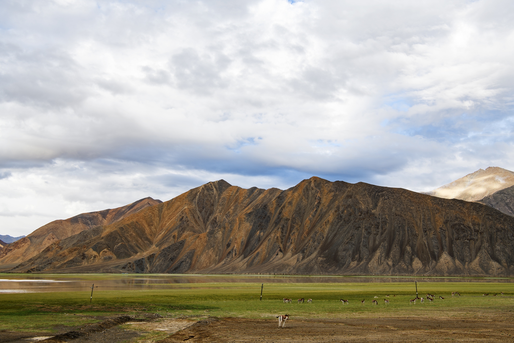 DSC_4949 .jpg