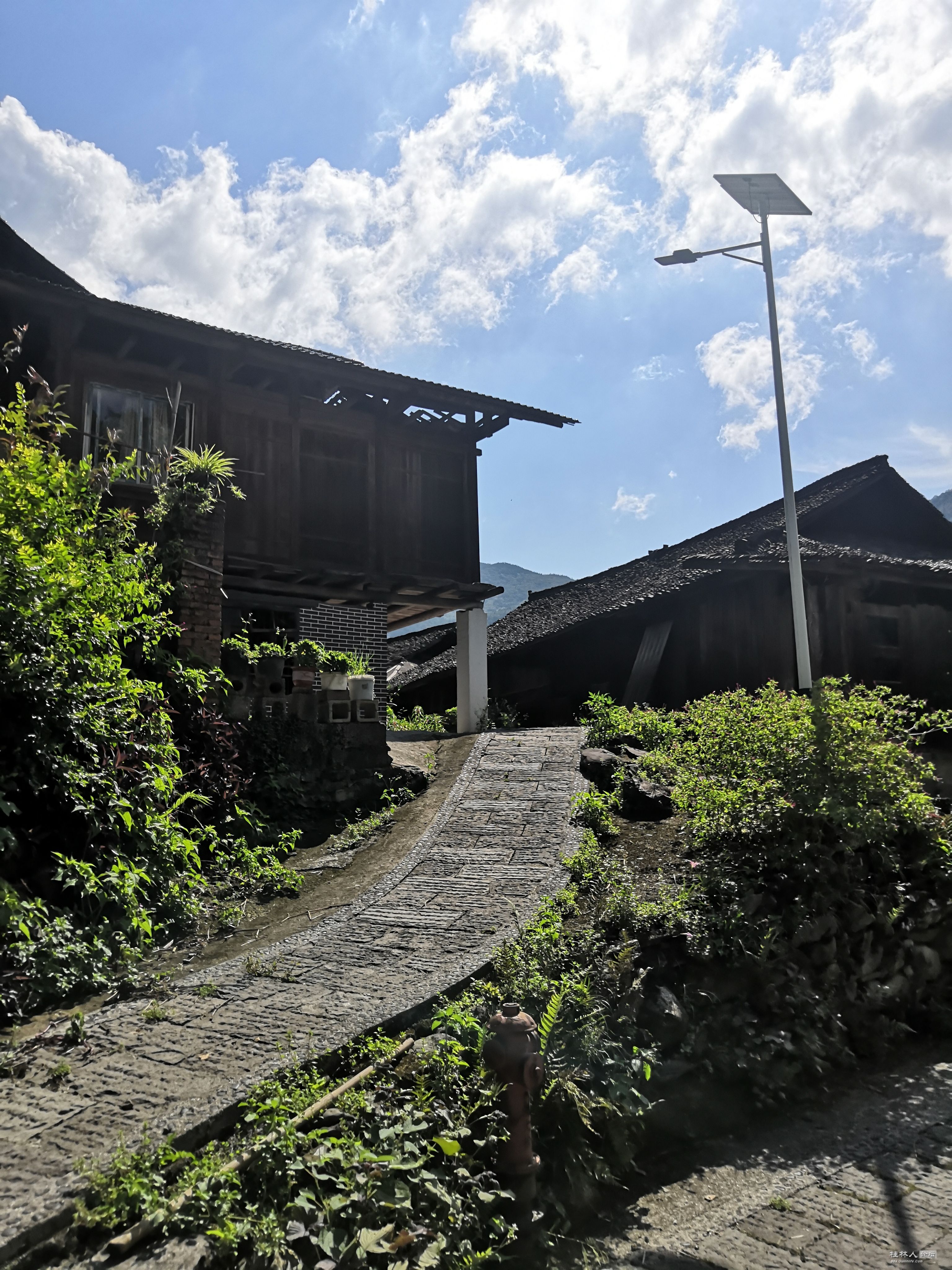 IMG_20250729_100830.jpg