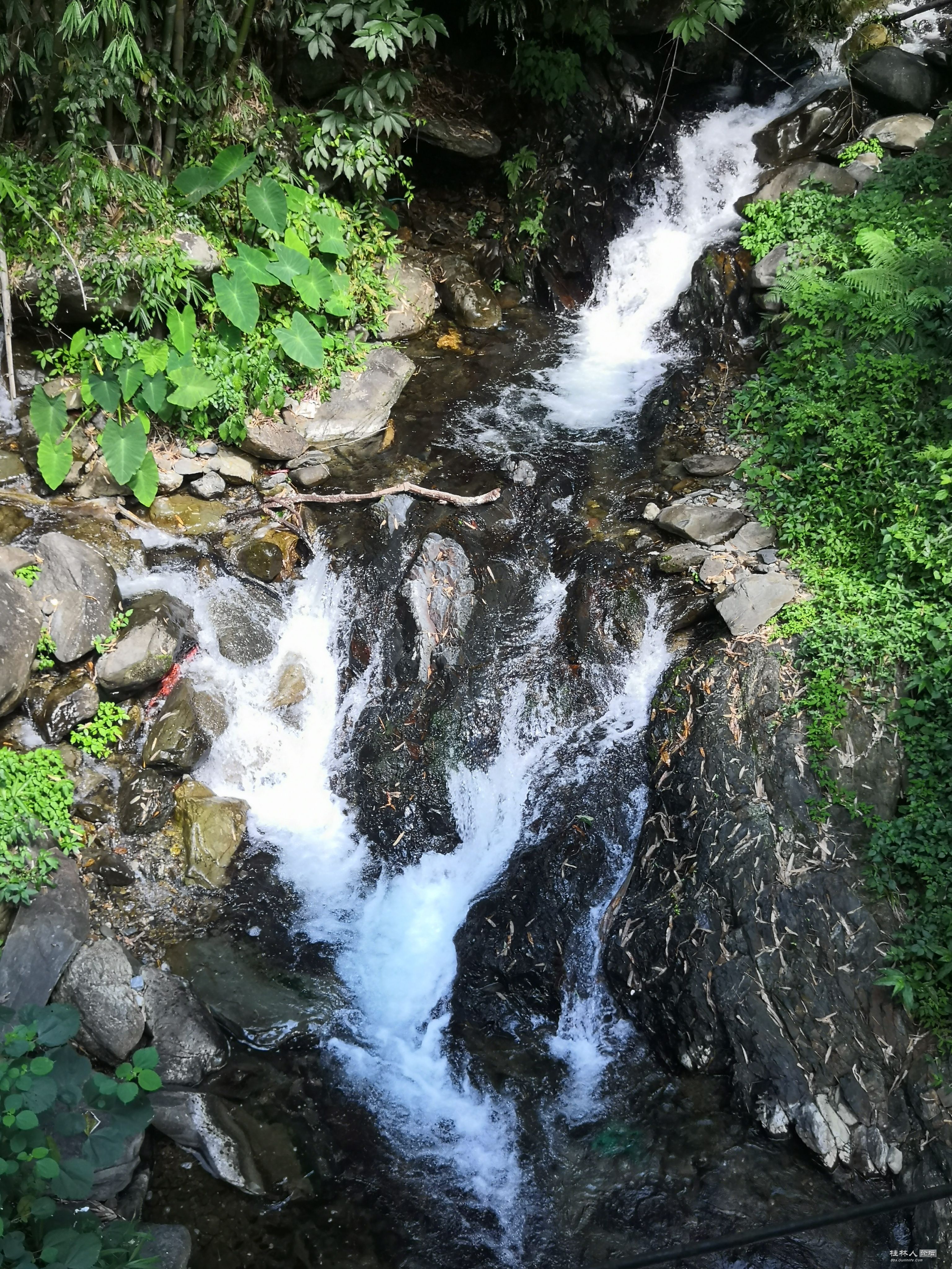 IMG_20250729_101402_.jpg