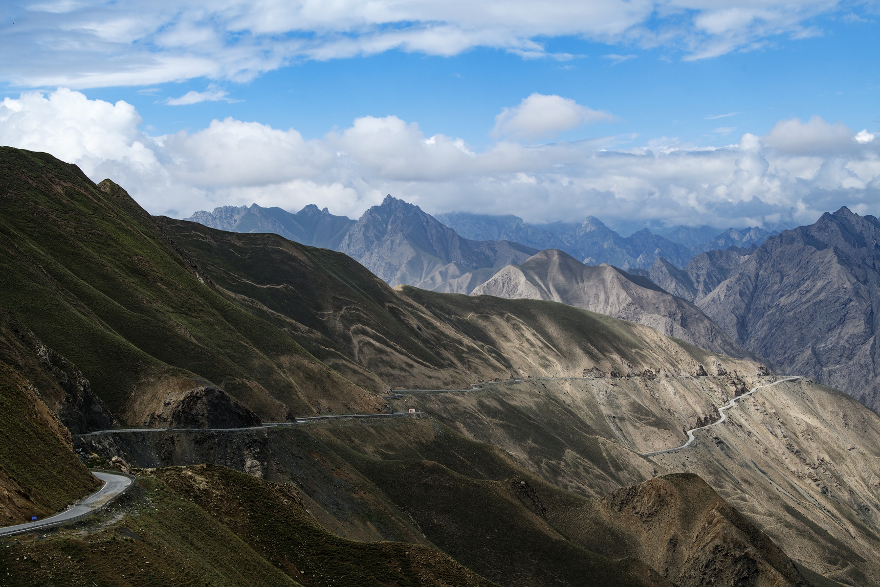 DSC_5099 .jpg