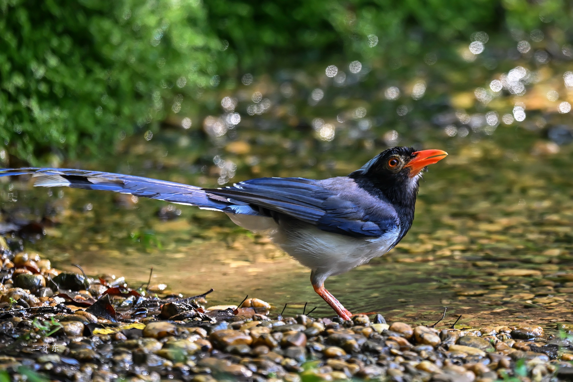 DSC_7149.jpg