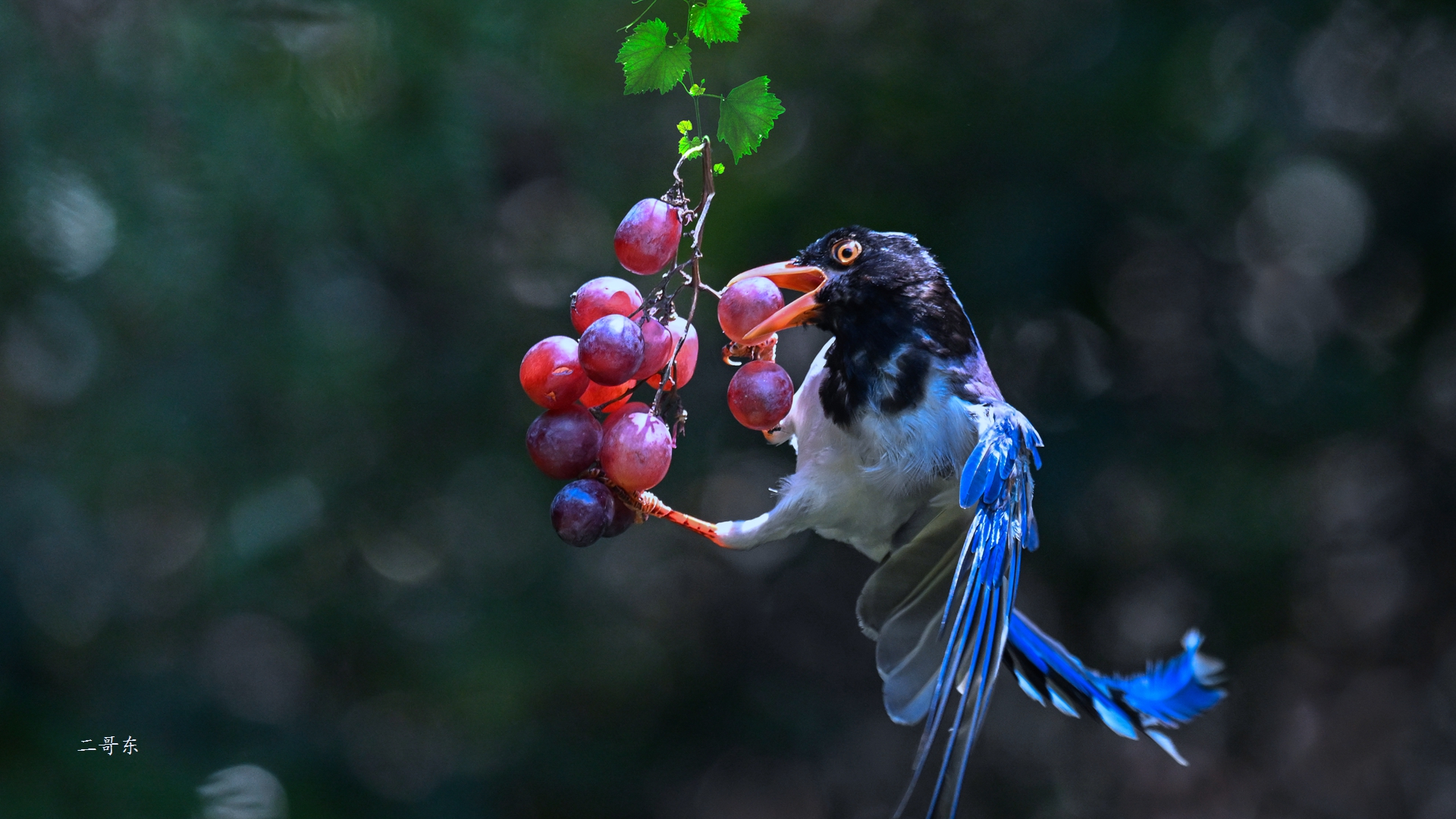 DSC_8399.jpg