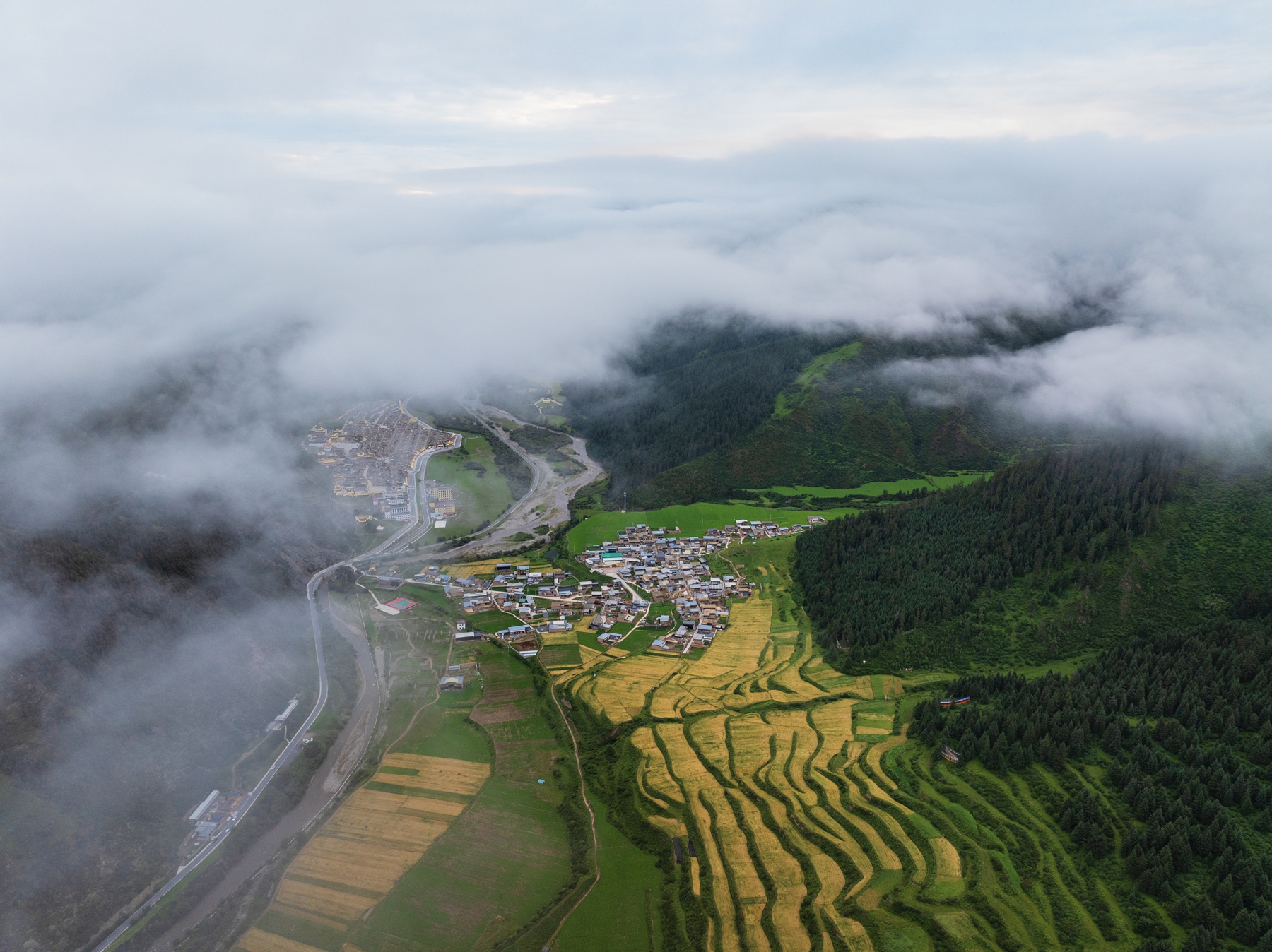 DJI_20250806064157_0607_D.jpg