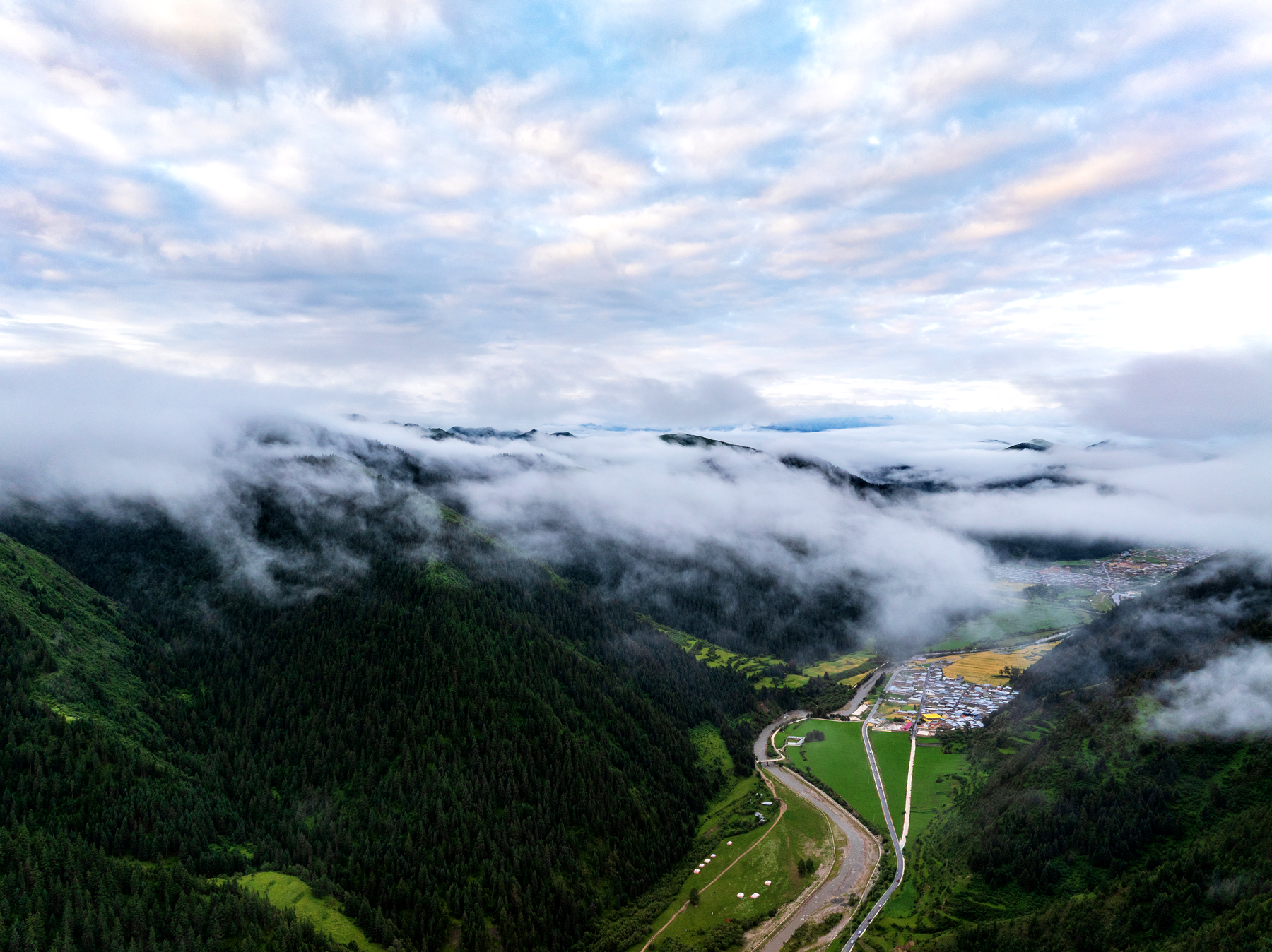 DJI_20250806064356_0613_D.jpg