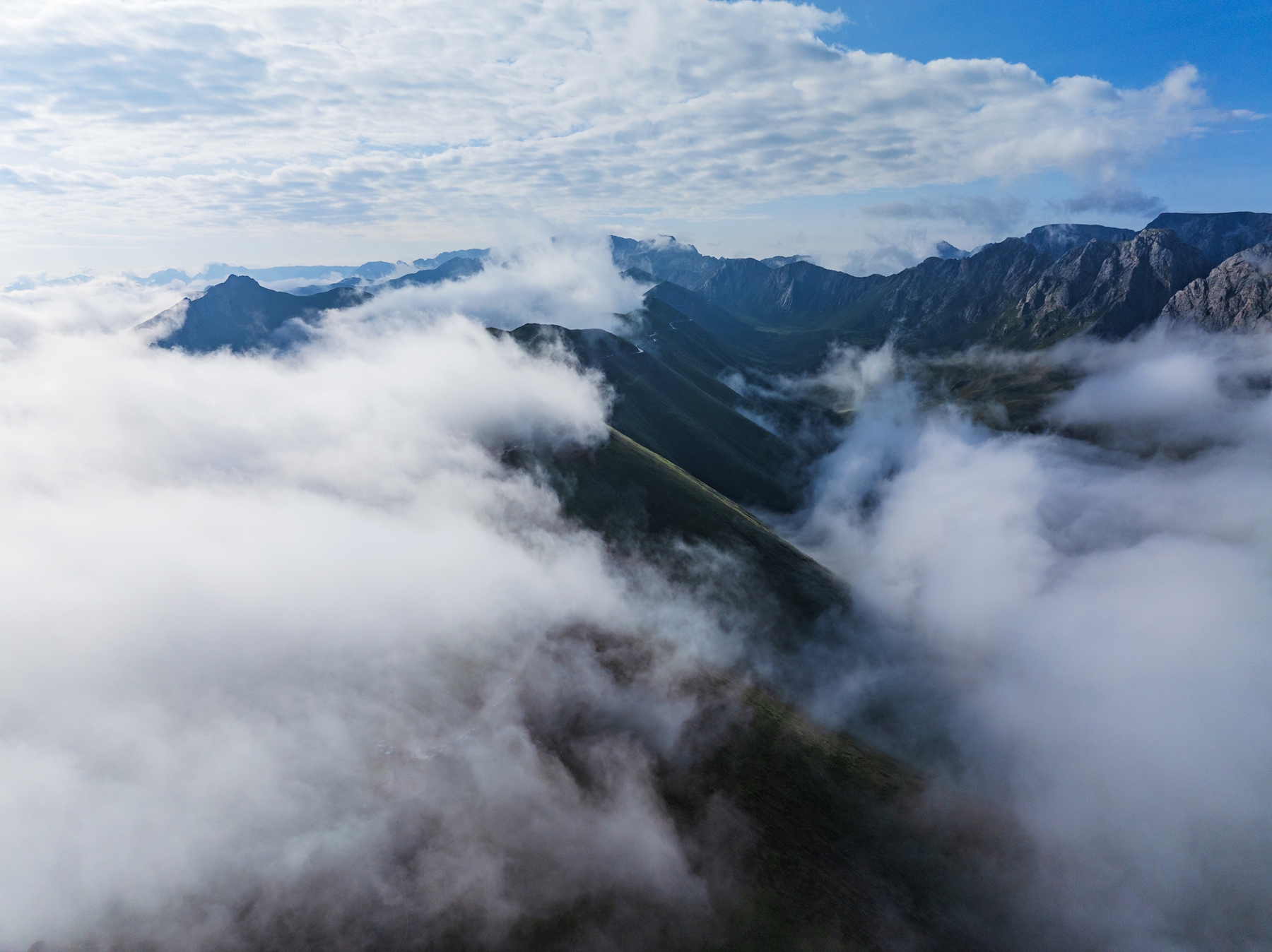 DJI_20250806083209_0024_D.jpg