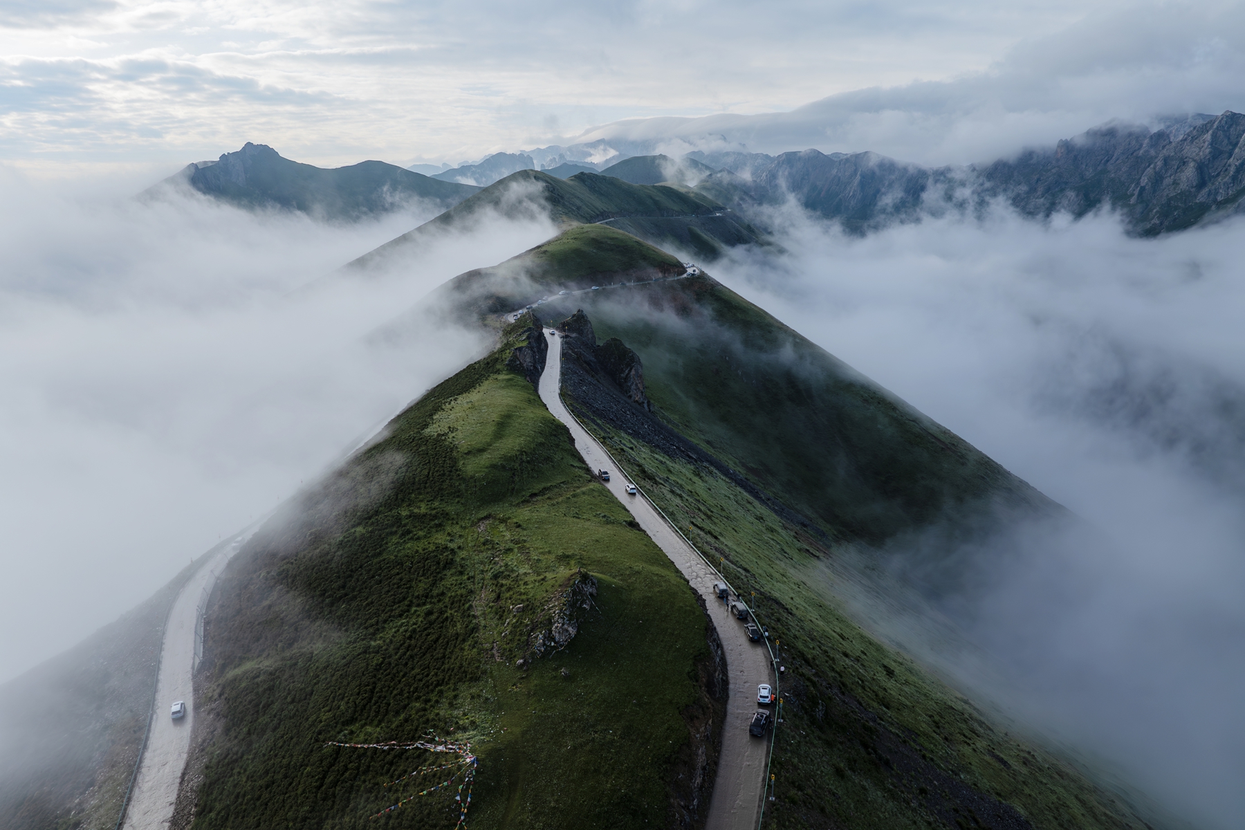DJI_20250806080506_0655_D-ǿ-NR.jpg