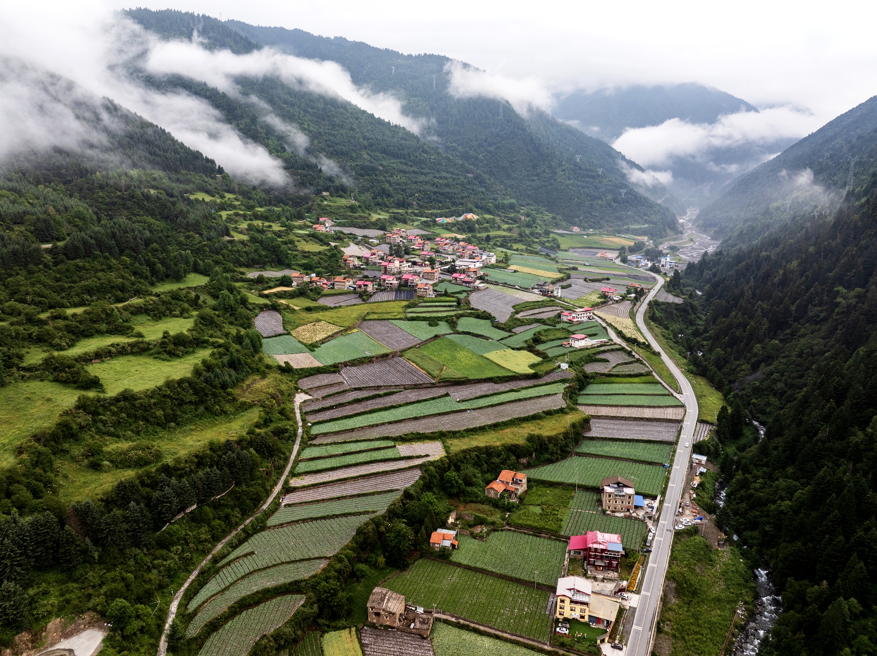 DJI_20250807074139_0043_D.jpg