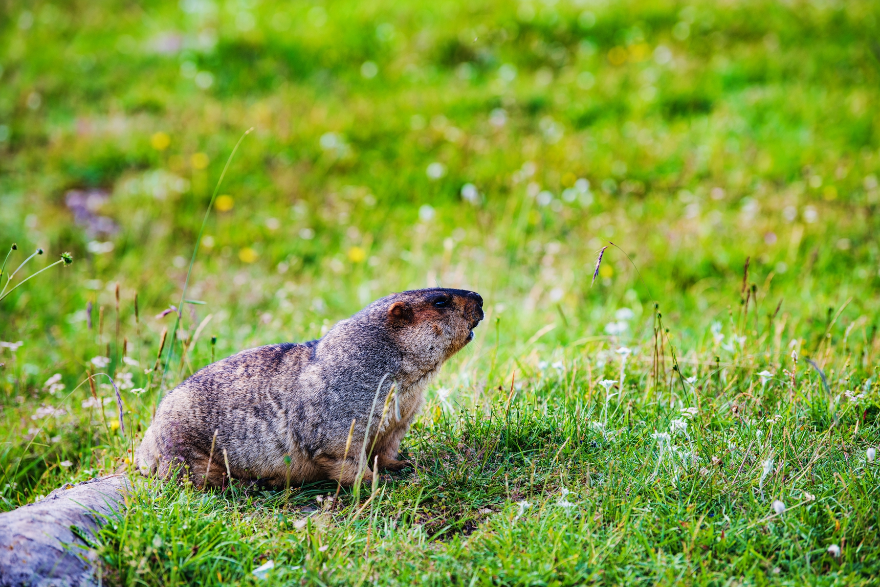 DSC_5648.jpg