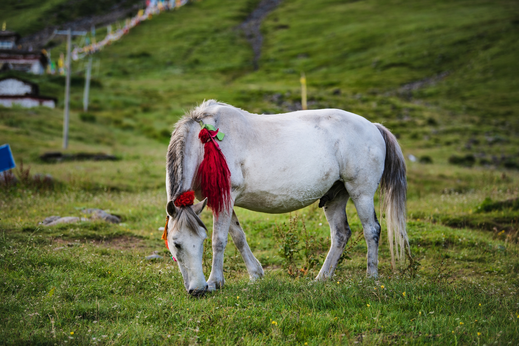 DSC_5679.jpg