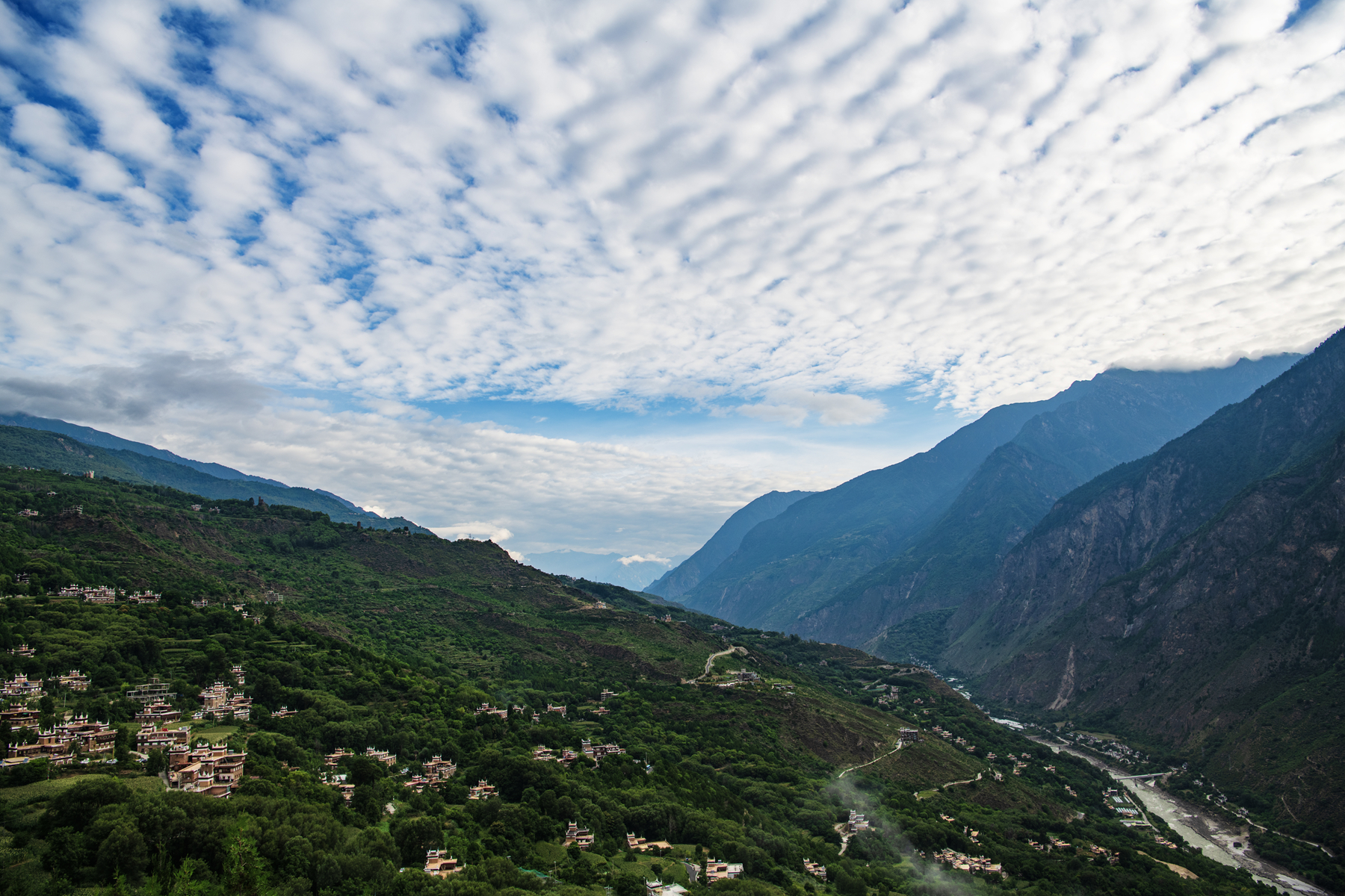DSC_5707 .jpg