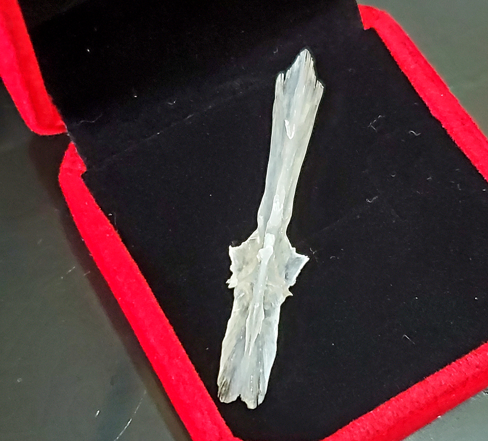 20250808_141309.jpg