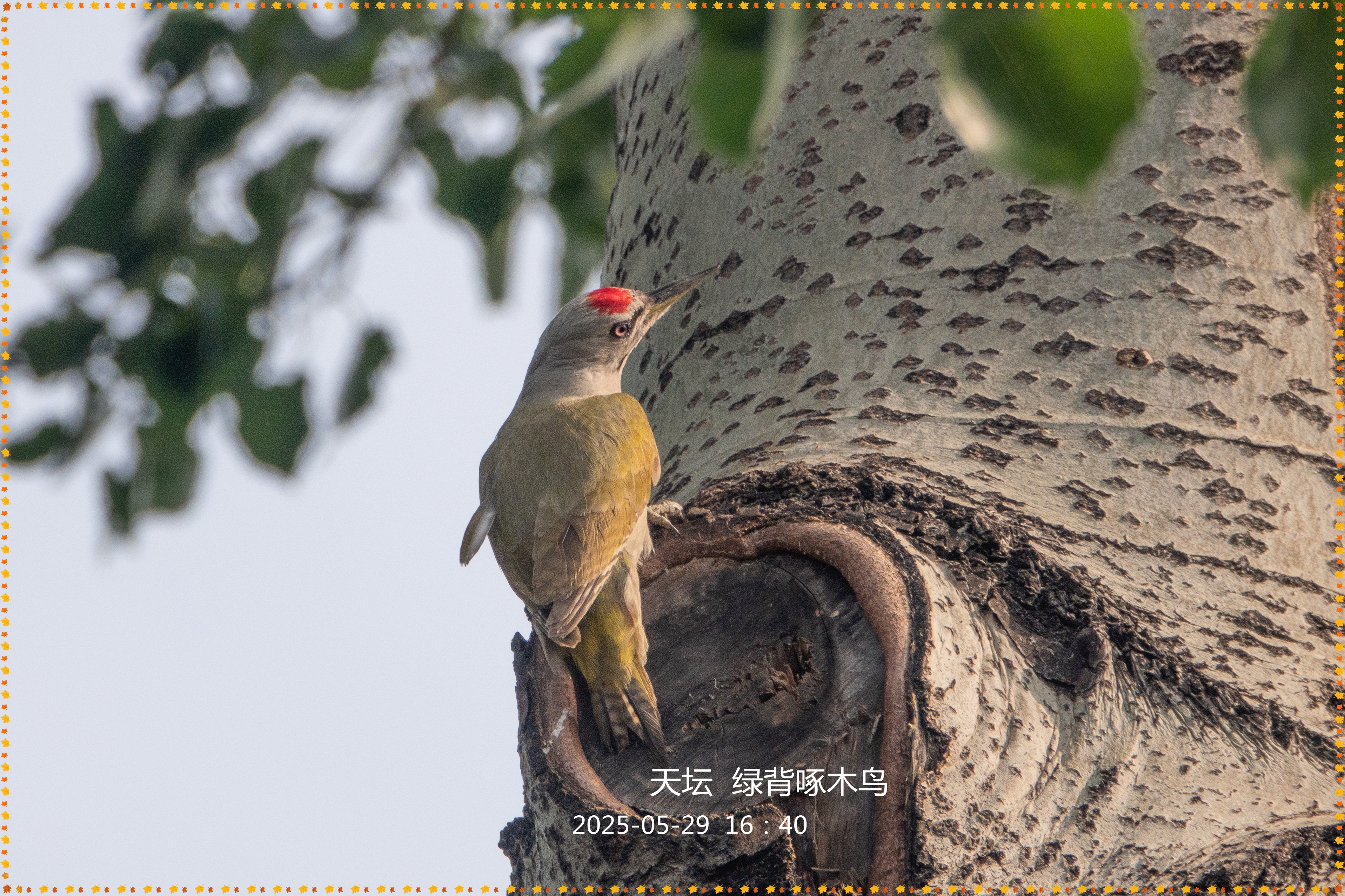 DSC04444__.jpg