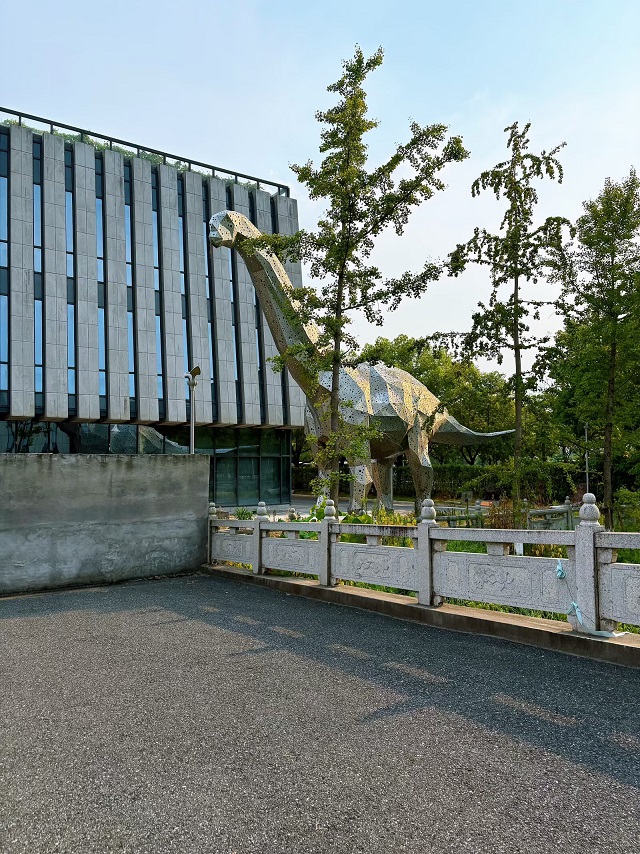 55.jpg