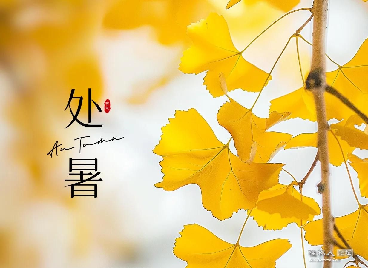 u=515579631,4271485653&fm=3074&app=3074&f=JPEG.jpg