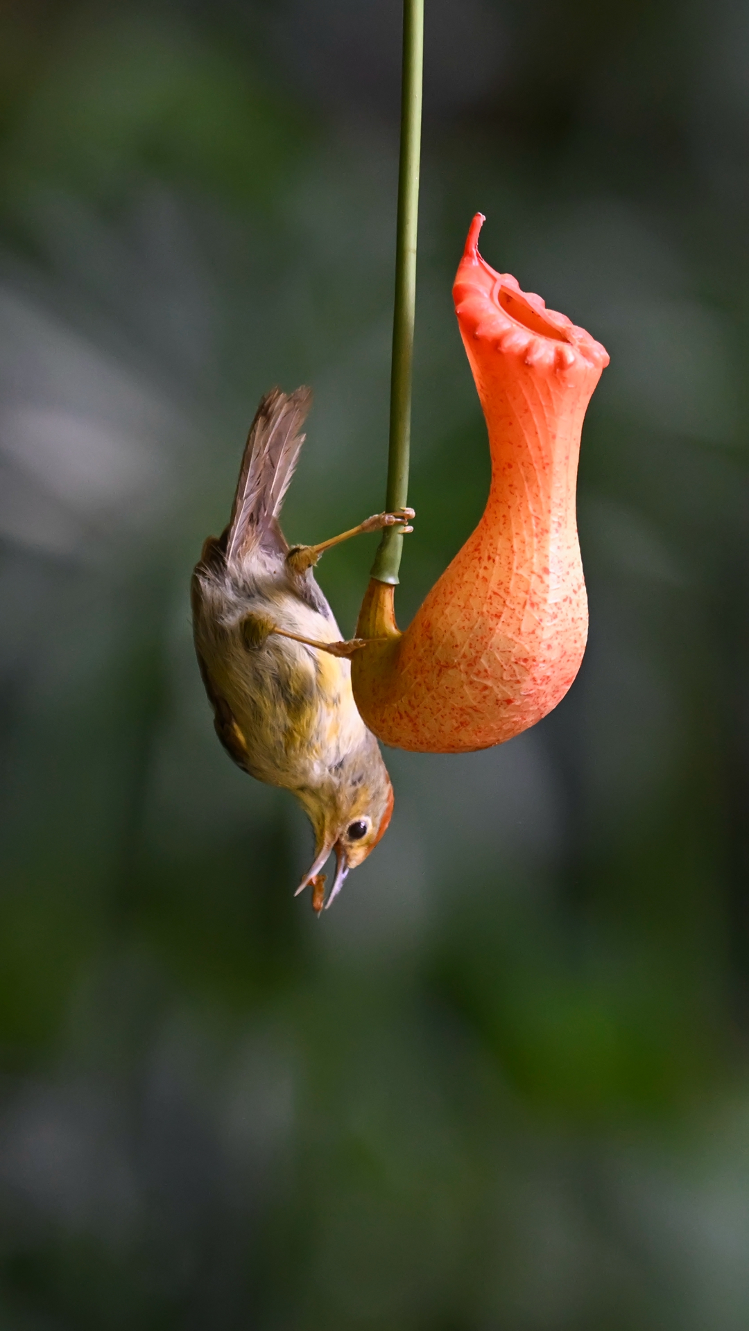DSC_5712.jpg