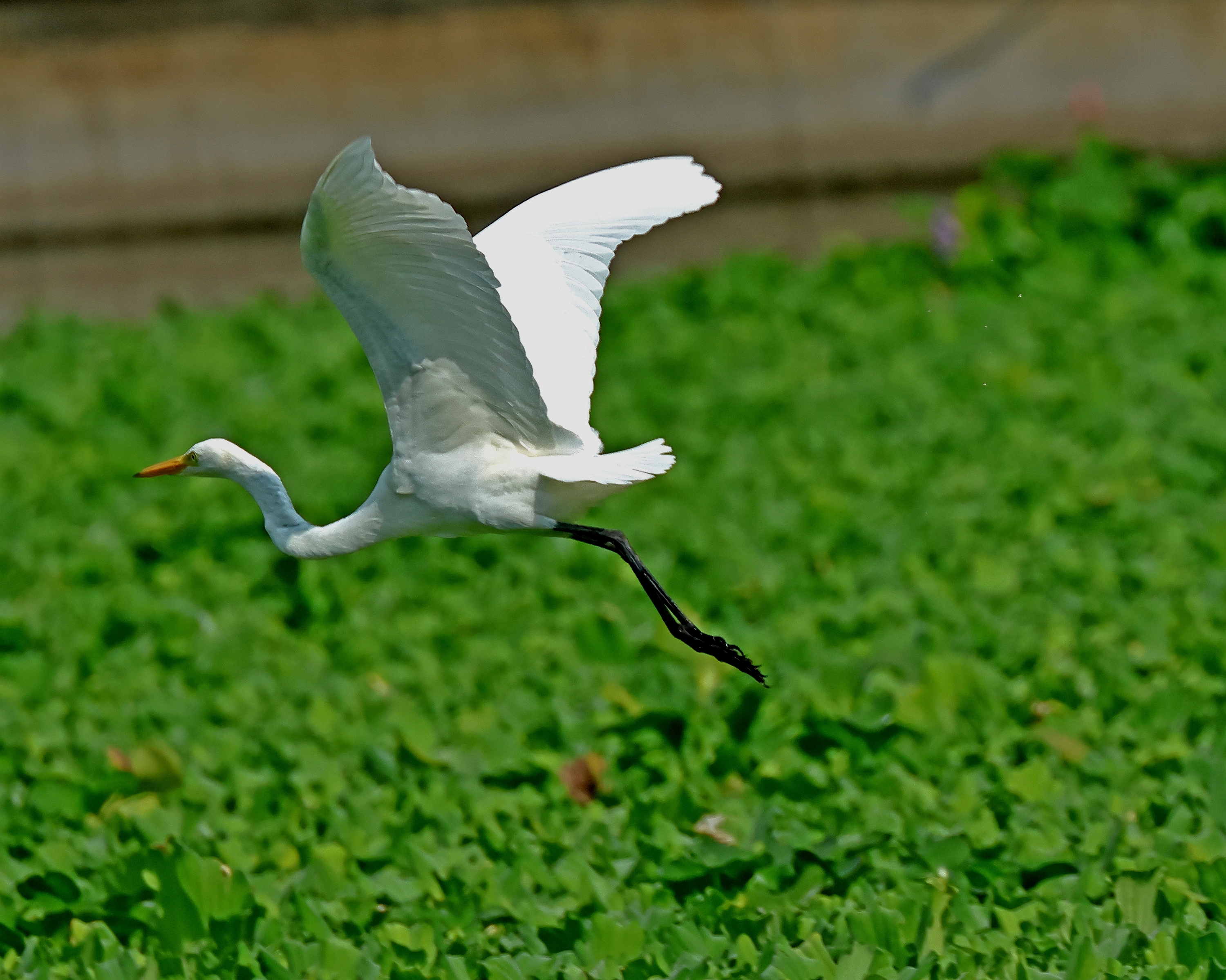 5D2A2983.JPG