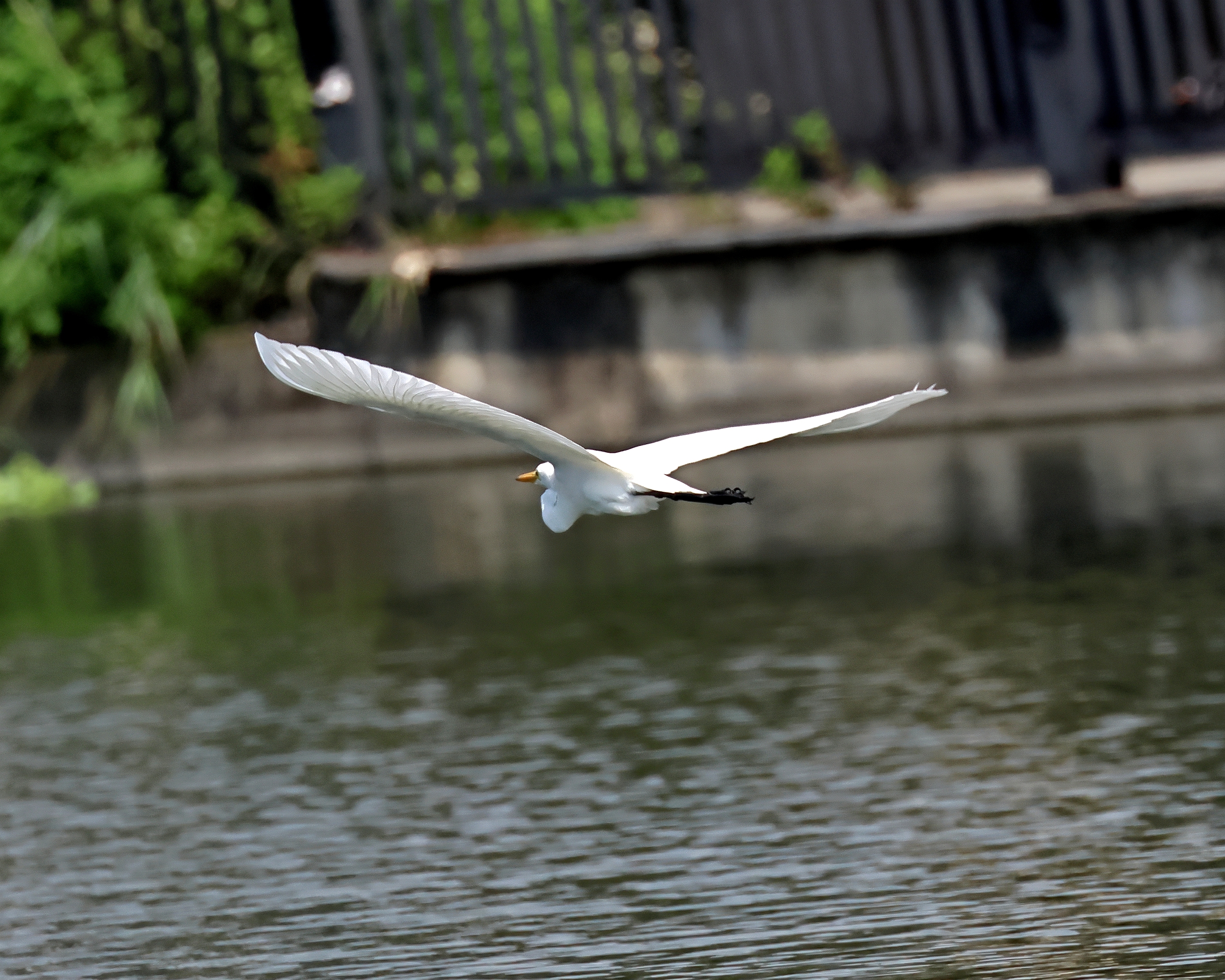 5D2A2989.JPG