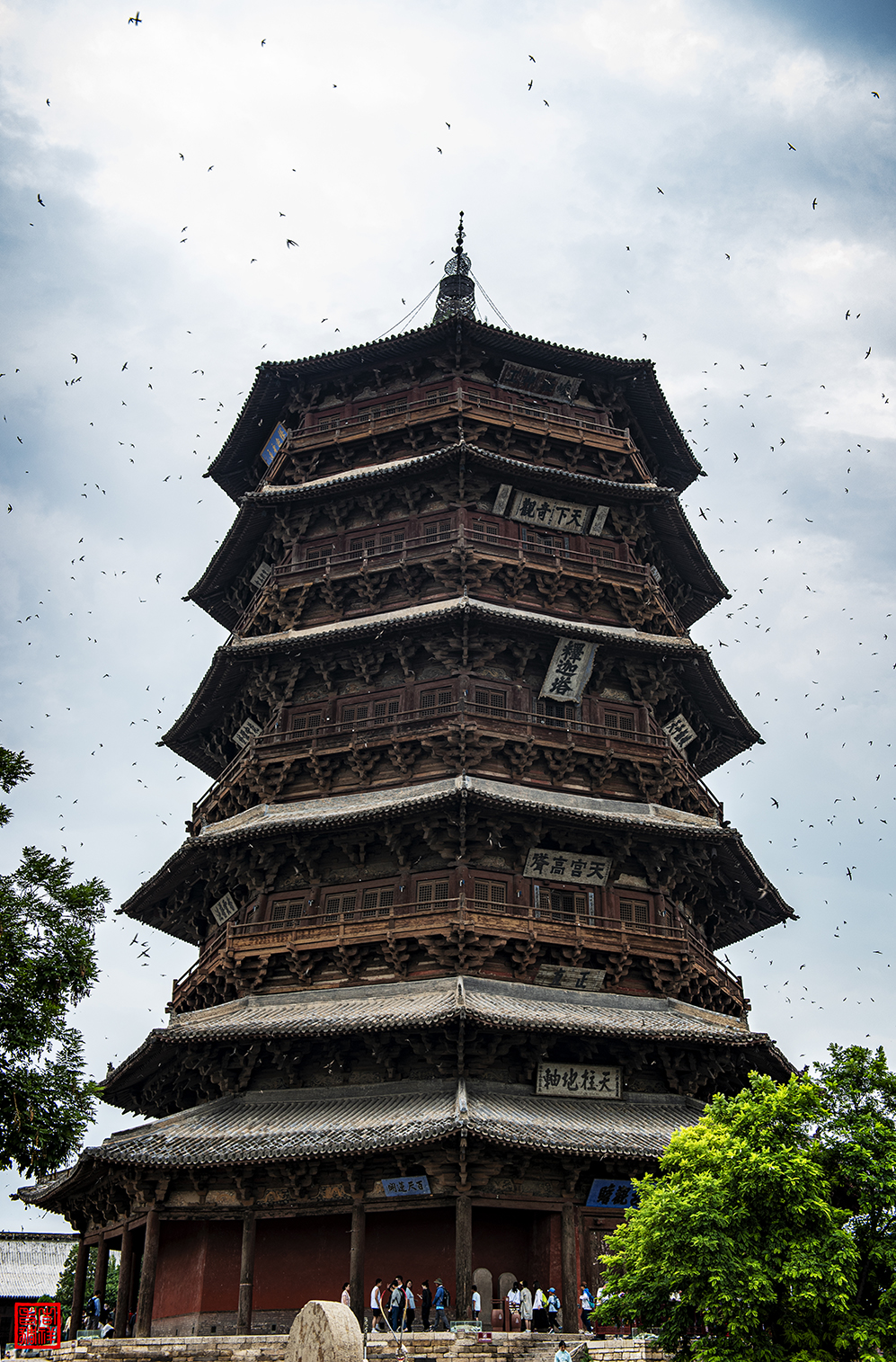 _DSC3056.jpg