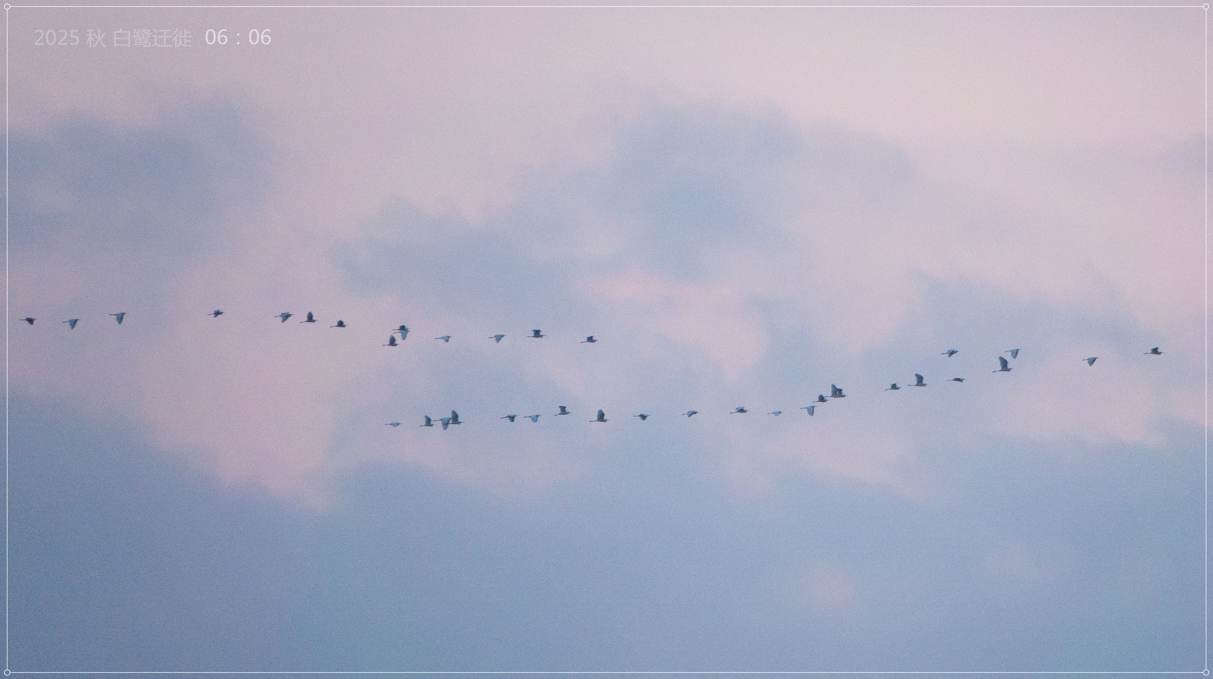 DSC03070_.jpg