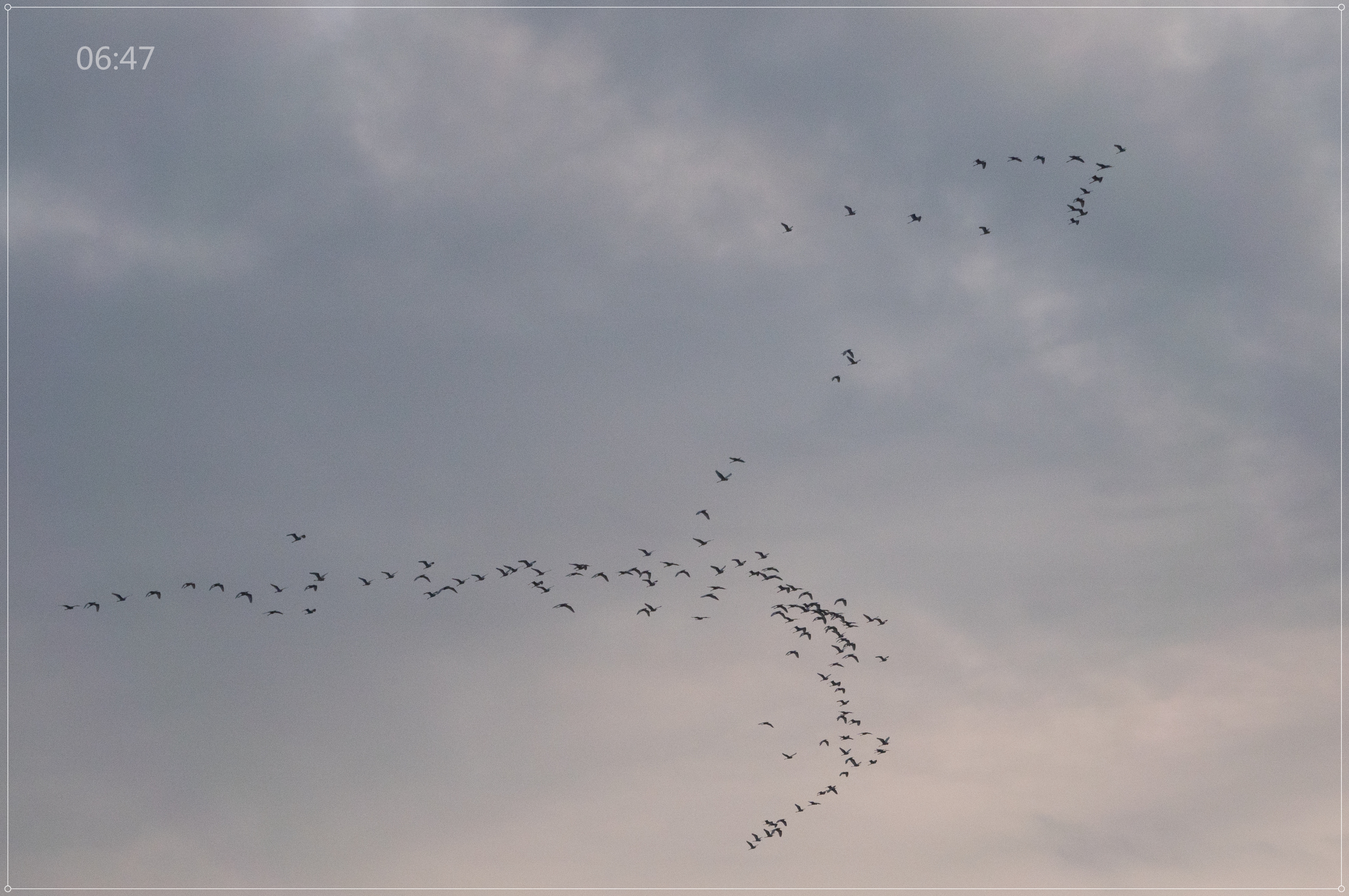 DSC03258_.jpg