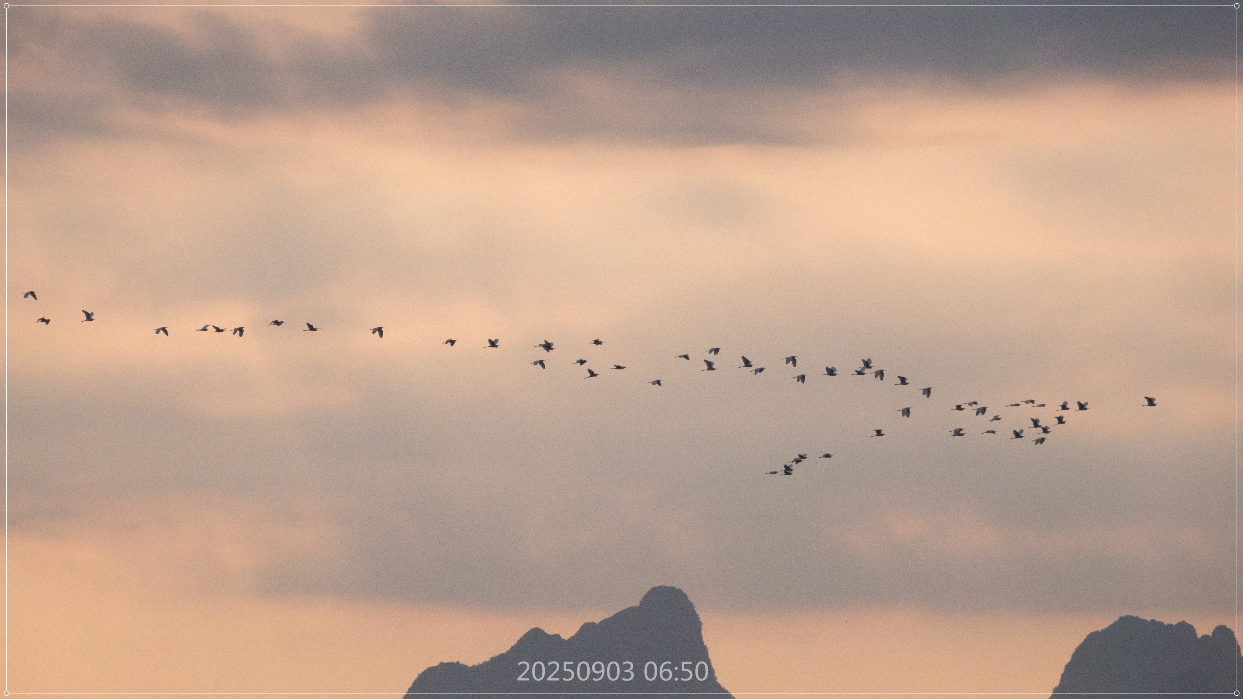 DSC03312_.jpg
