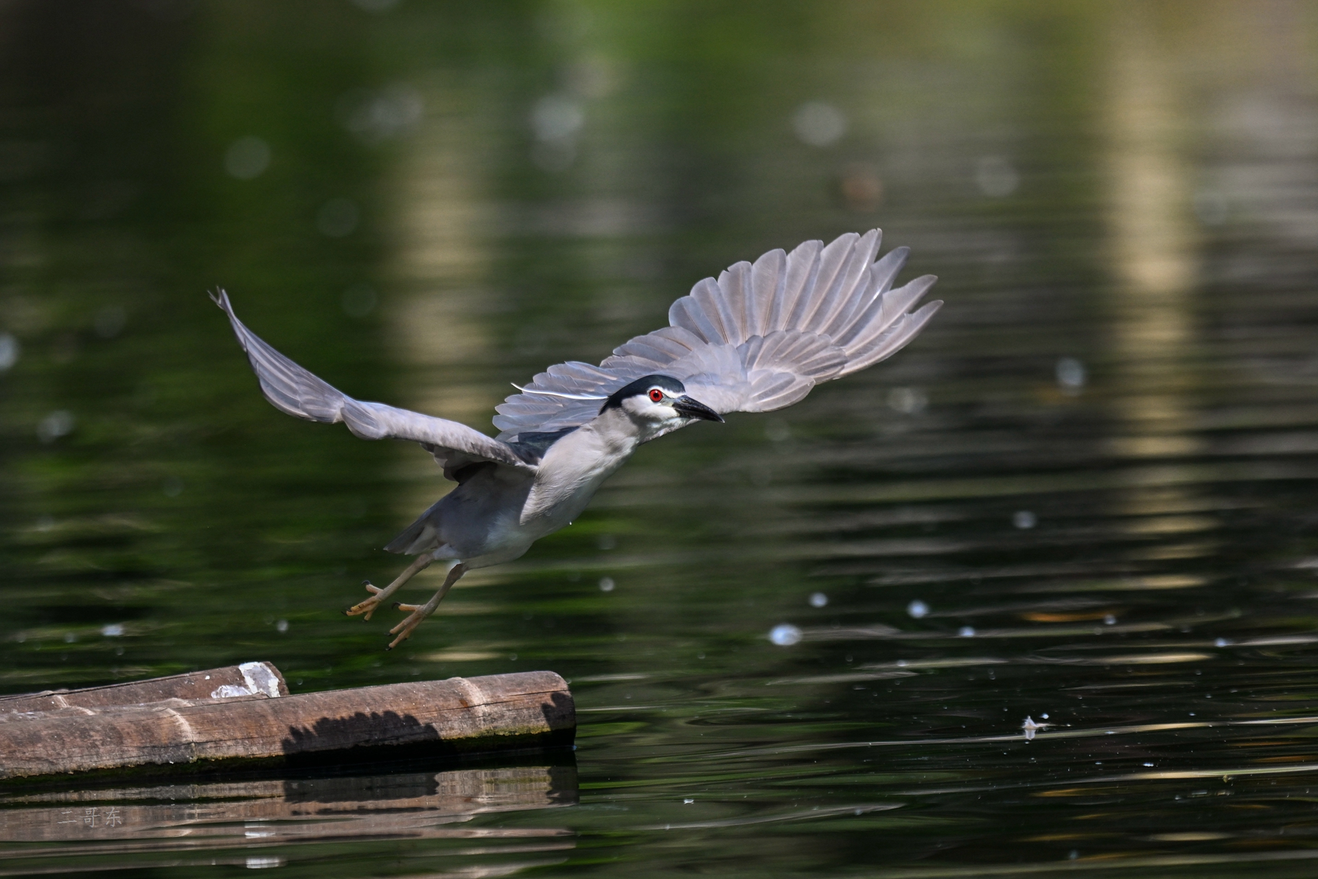 DSC_5863.jpg