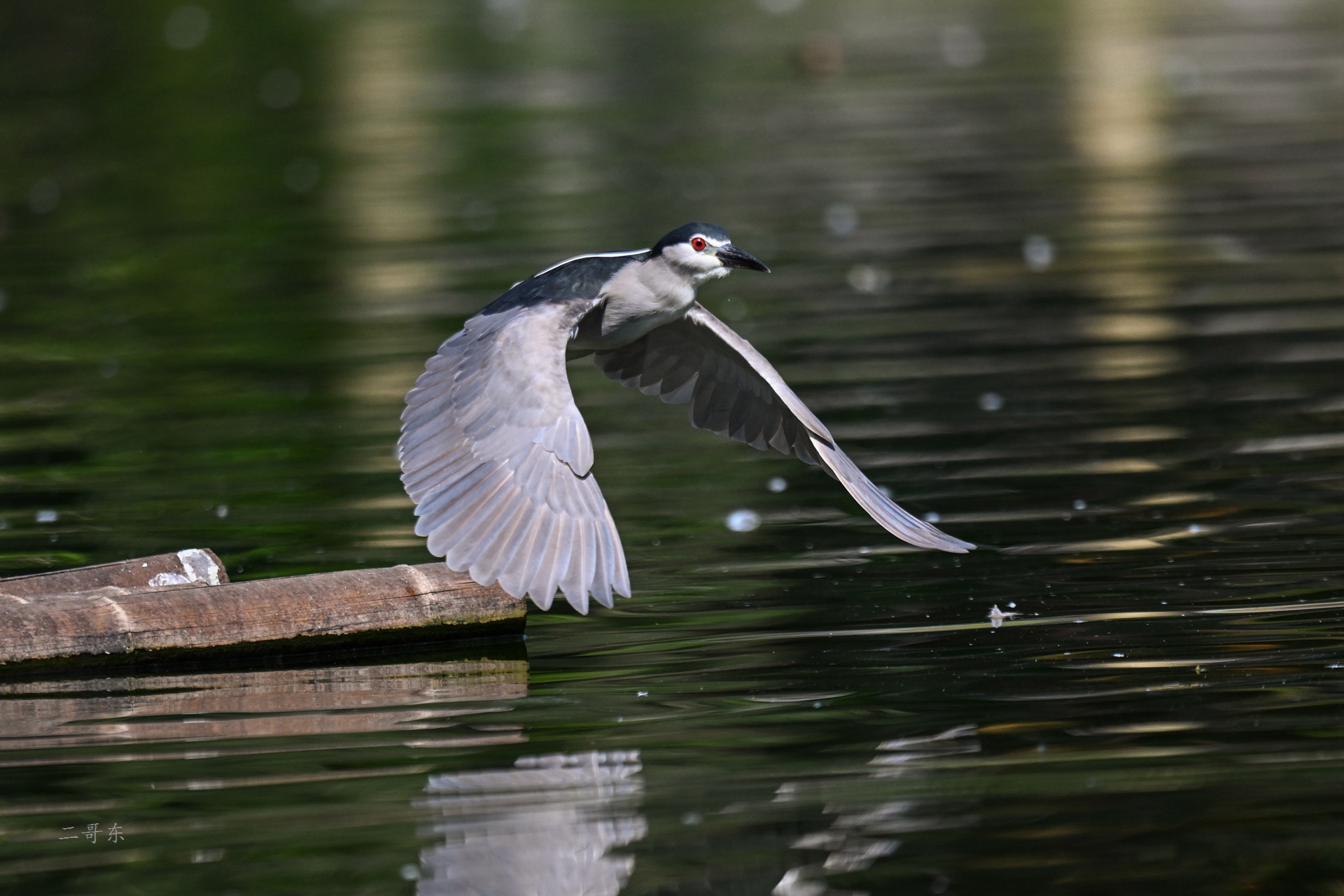 DSC_5864.jpg