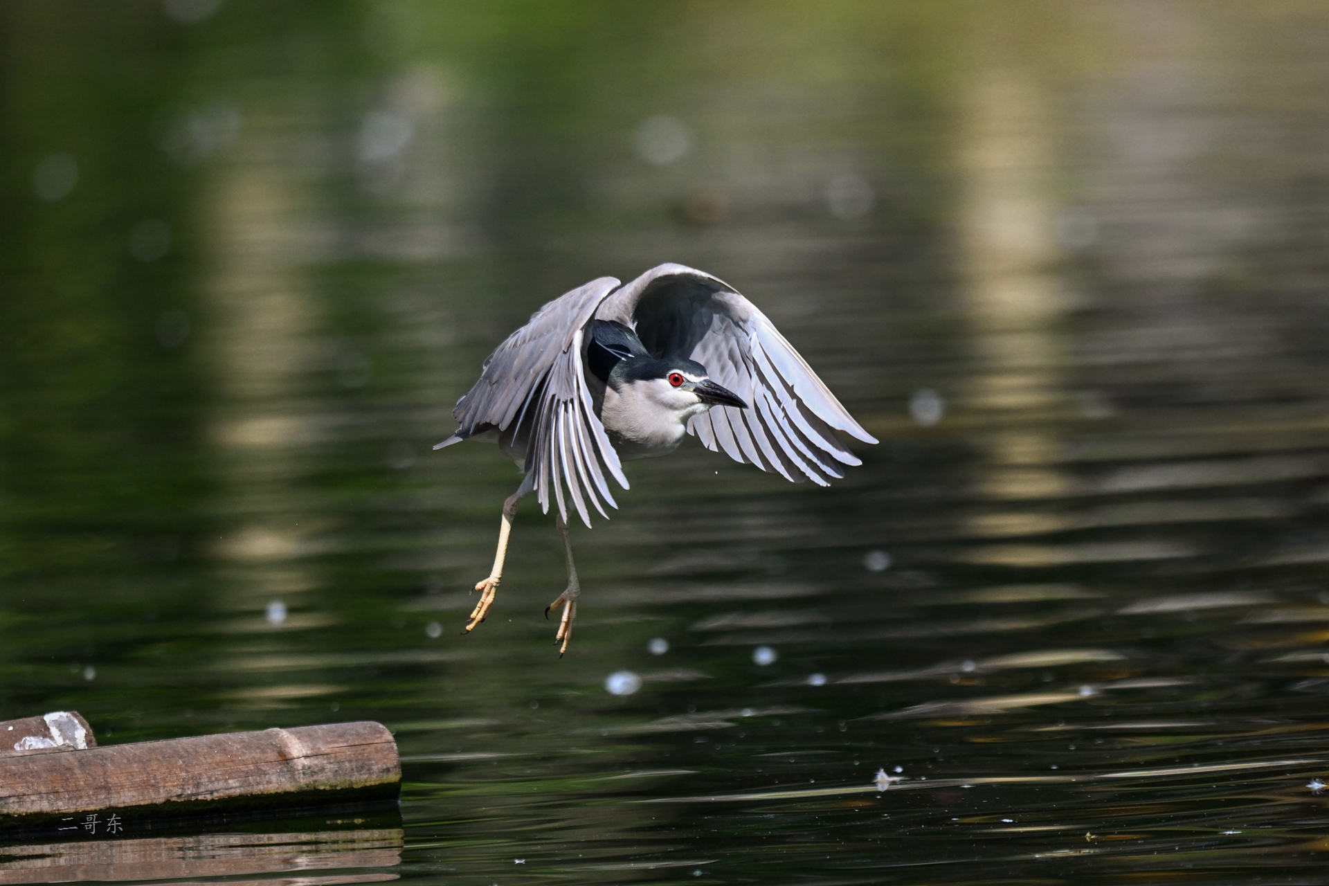 DSC_5865.jpg
