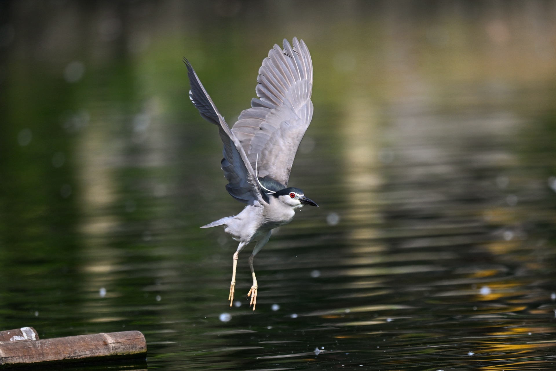 DSC_5866.jpg