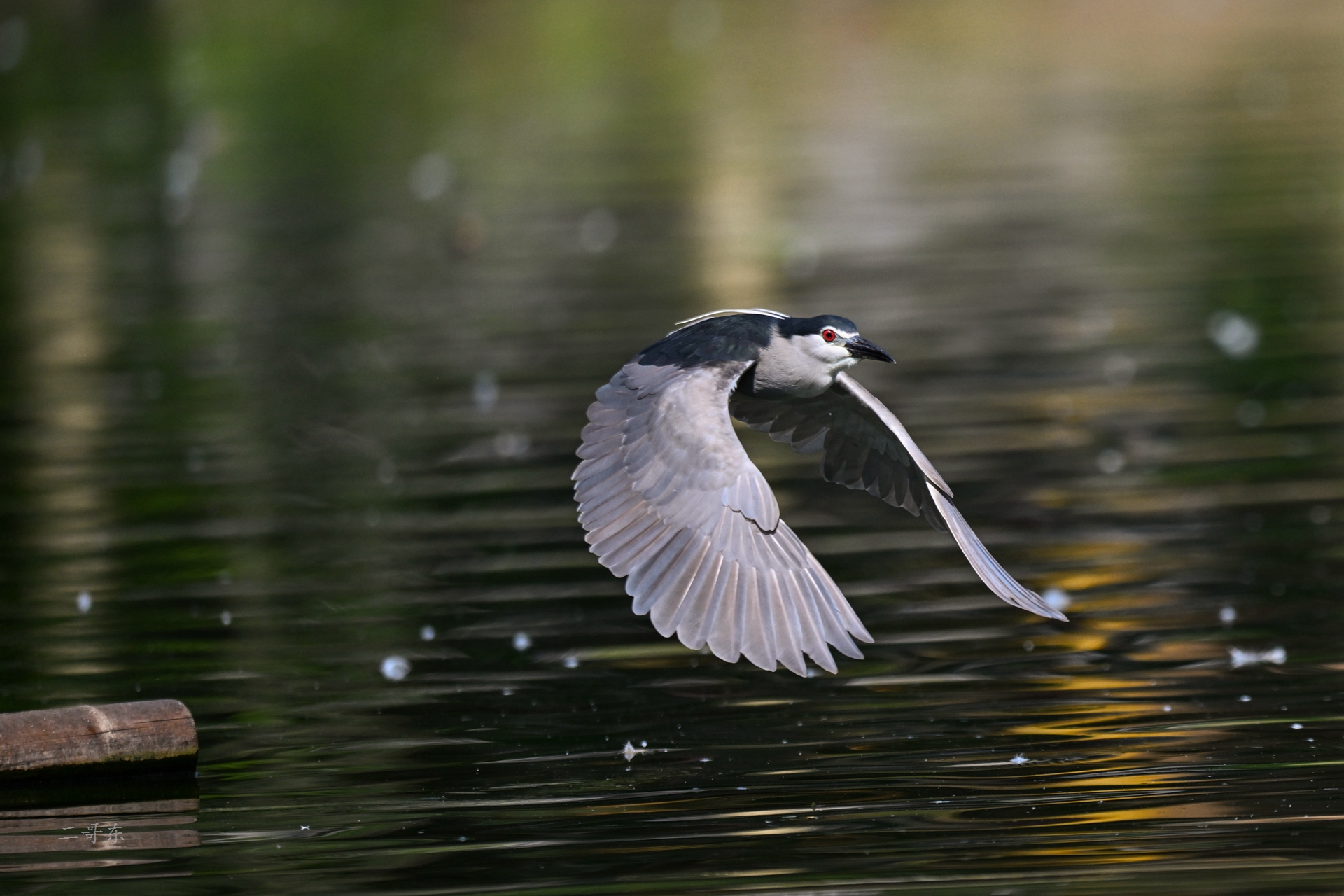 DSC_5868.jpg