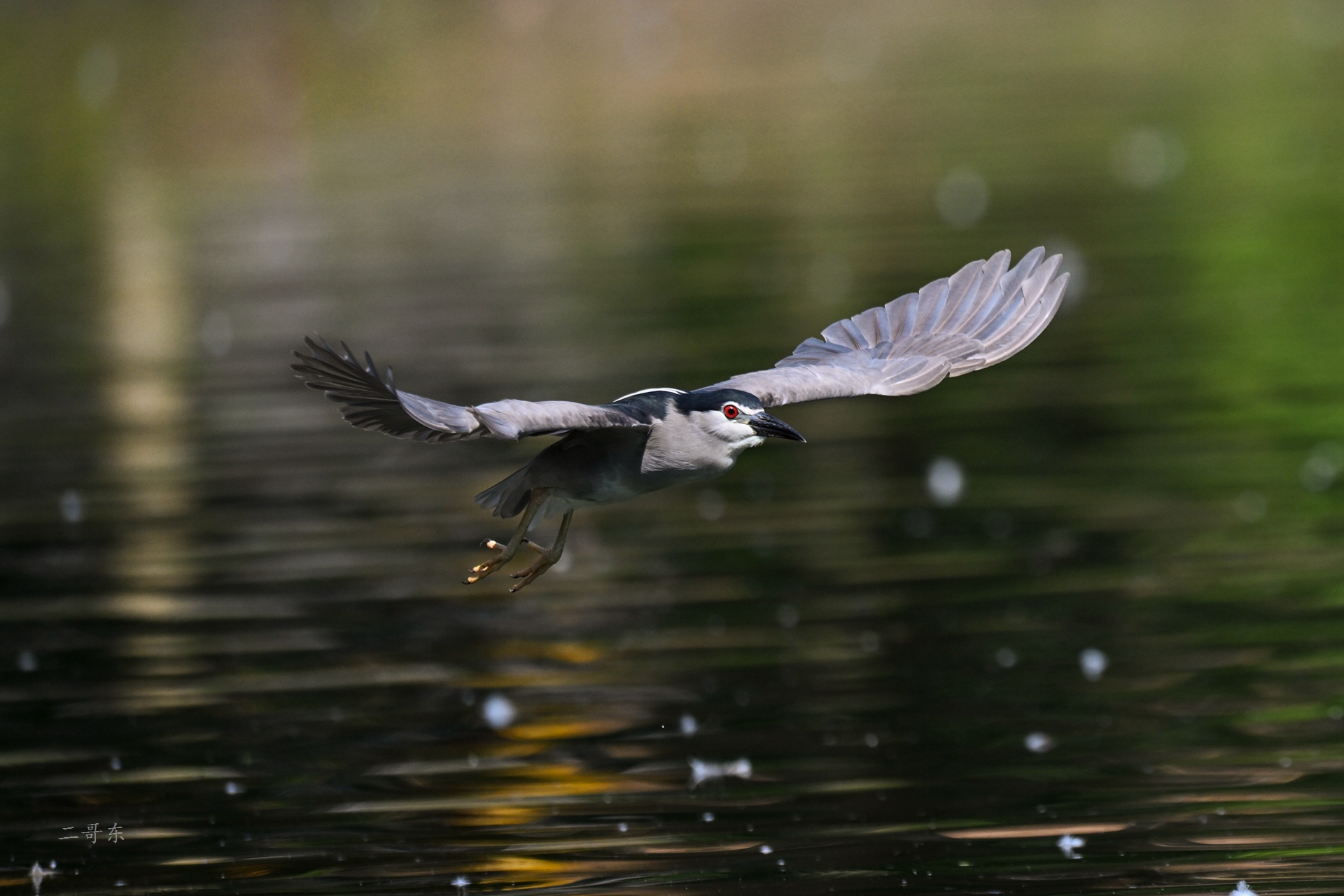 DSC_5871.jpg
