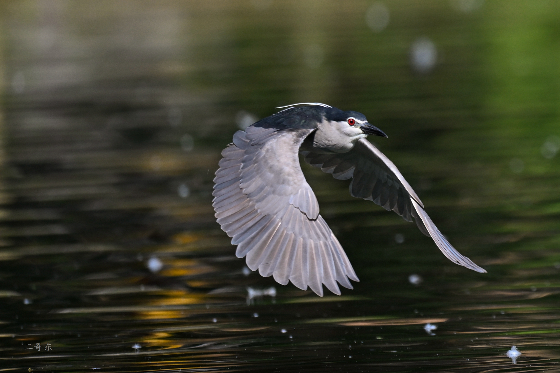 DSC_5872.jpg